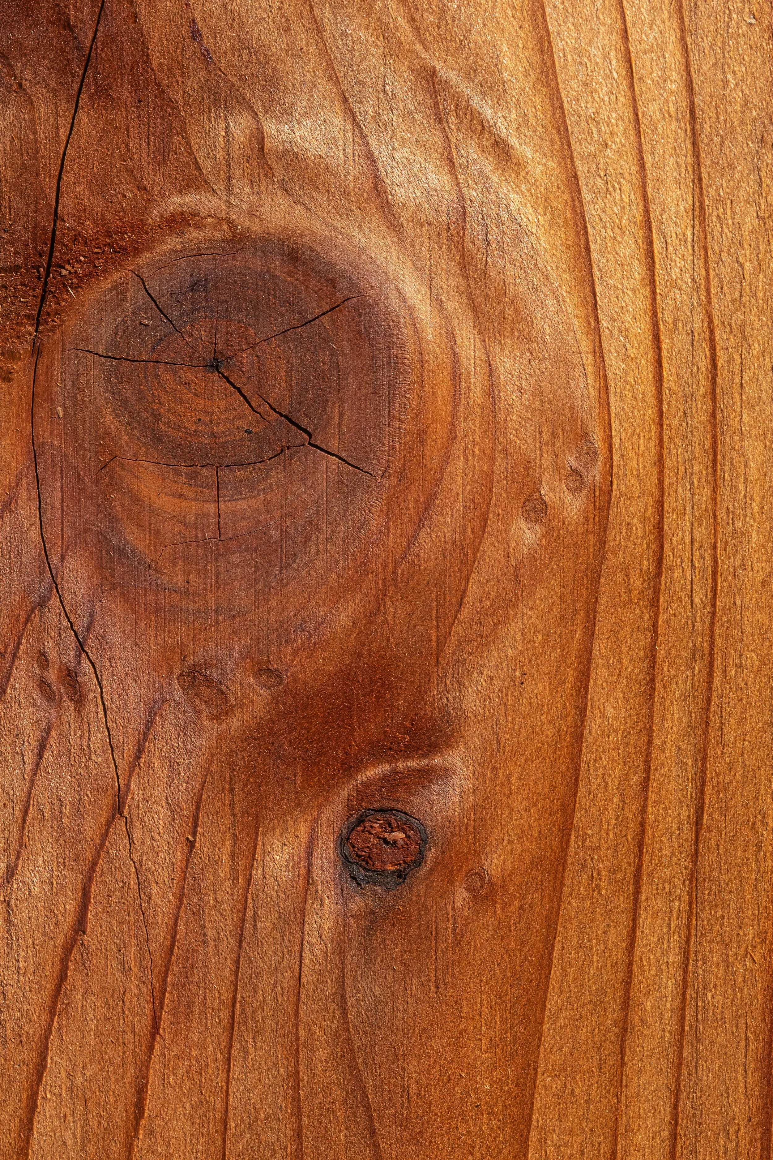 Close-up of a wooden surface showing a knot, grain, and cracks in the wood.