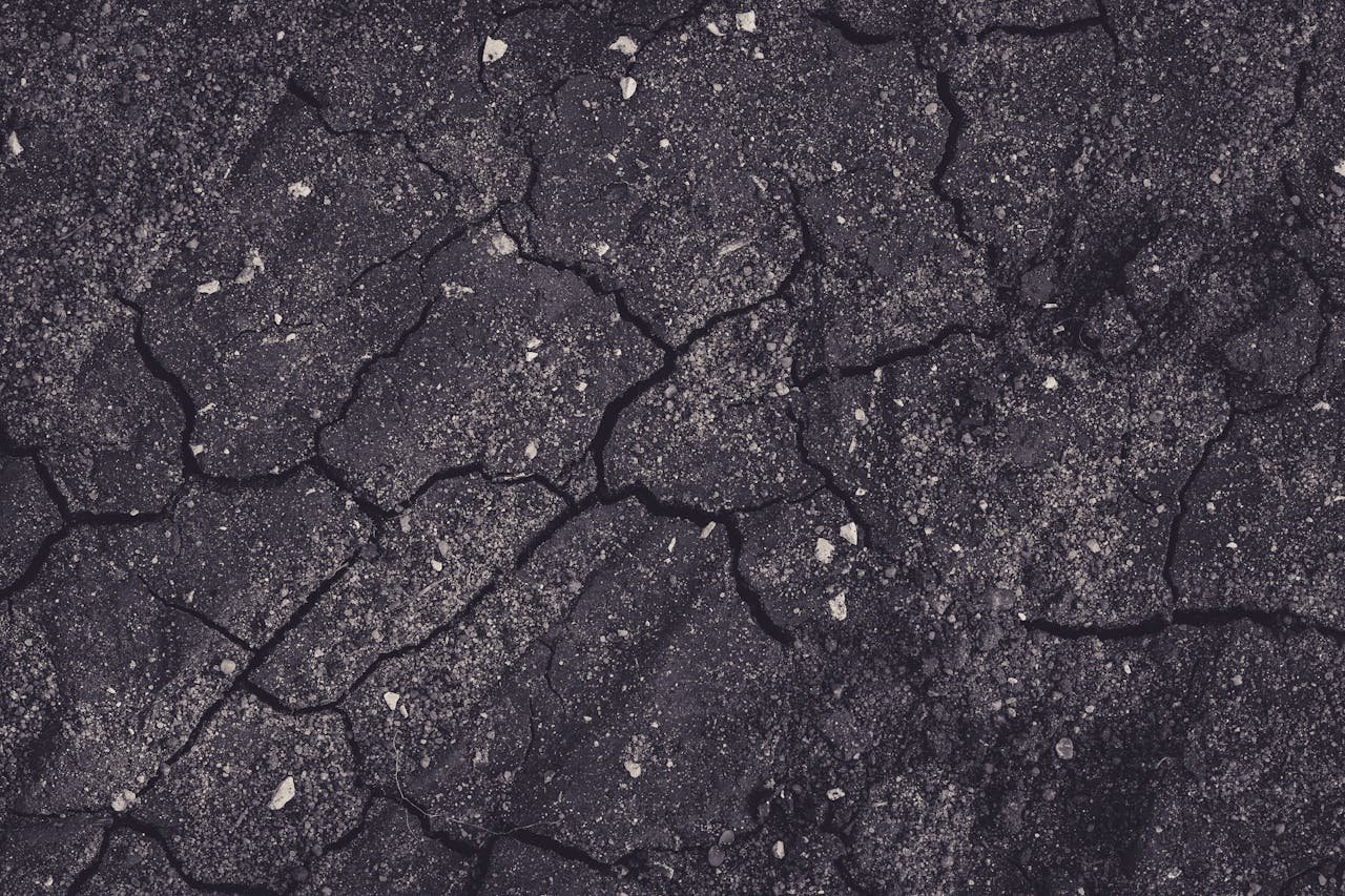 Resolving Soil Compaction Issues With Mulching Services