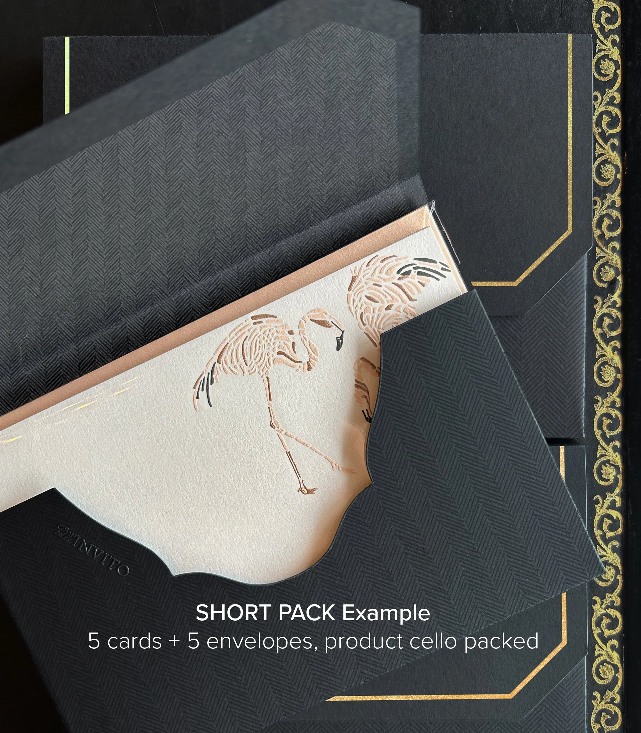 short-pack-black-box_2026.jpg (Copy) (Copy)