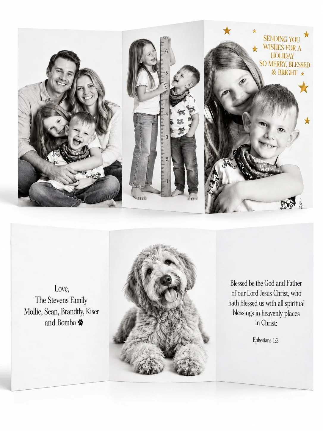 black-and-white -Gold-Foil-Family Holiday Card.jpg