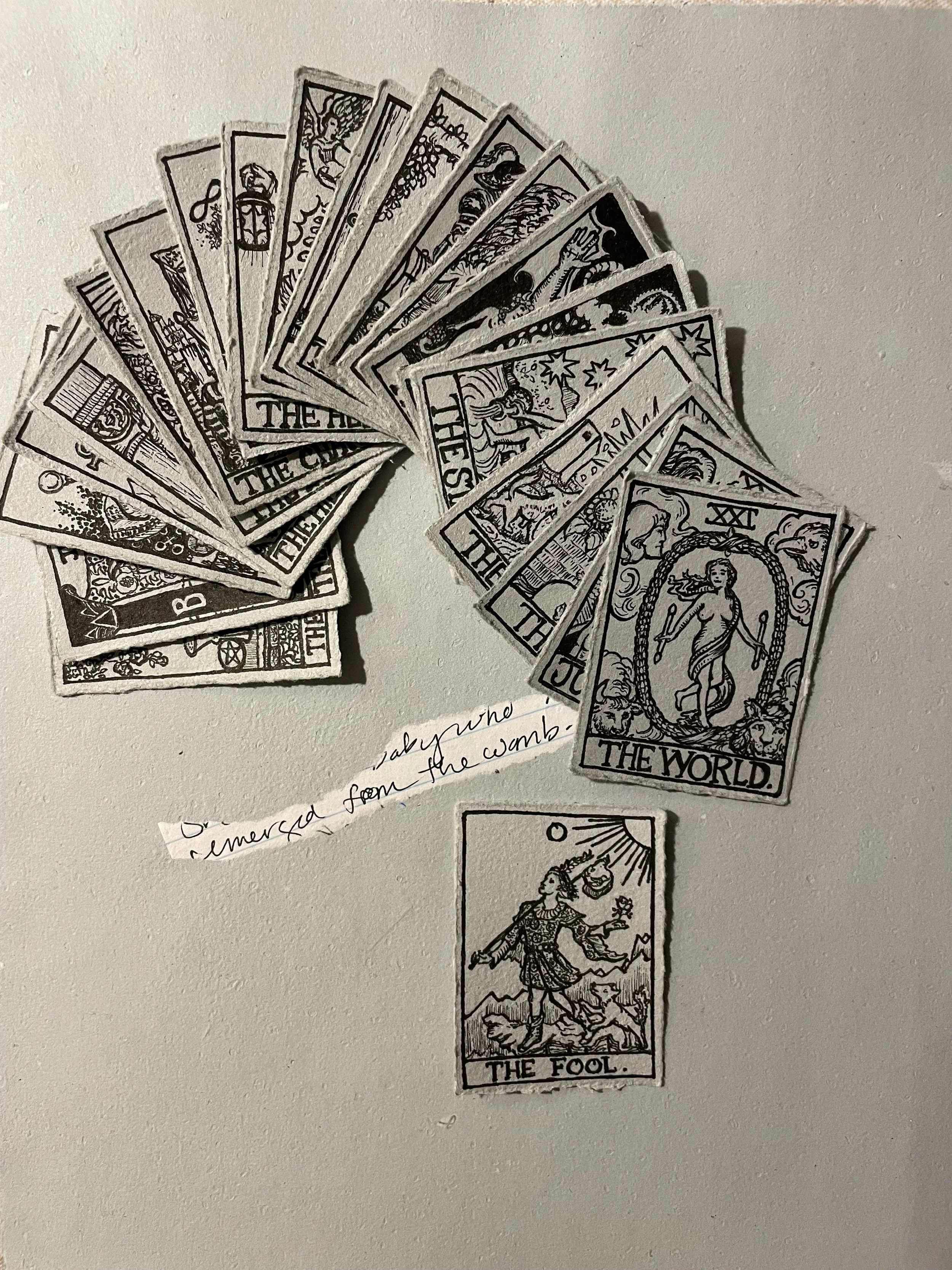 IMG_1991.jpeg