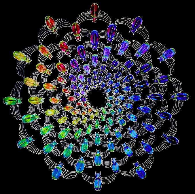 scarab mandala.png