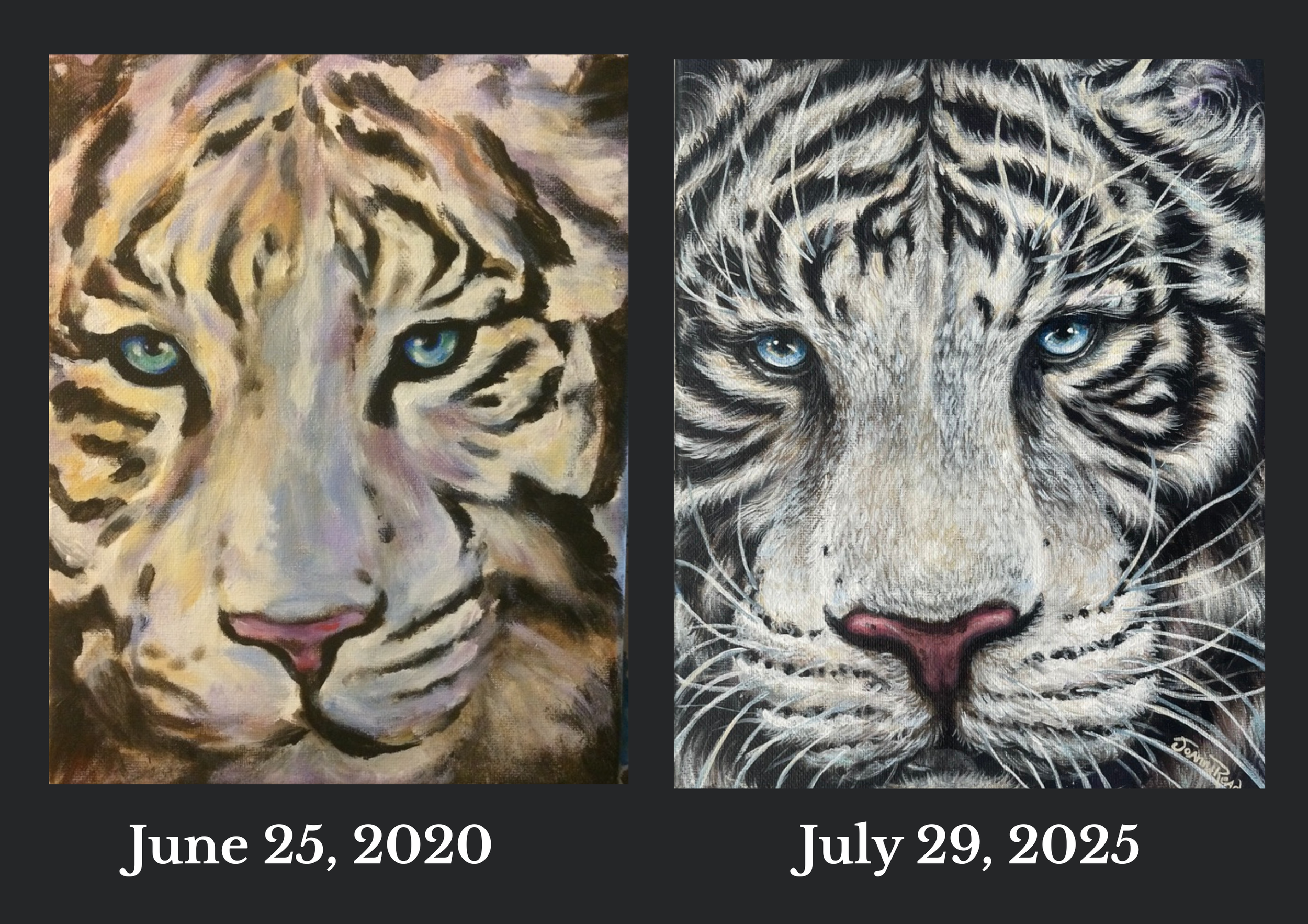 Tigress before:after.png