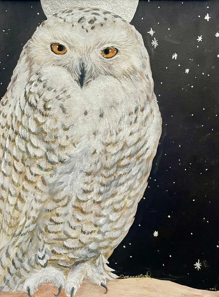 Snowy Owl