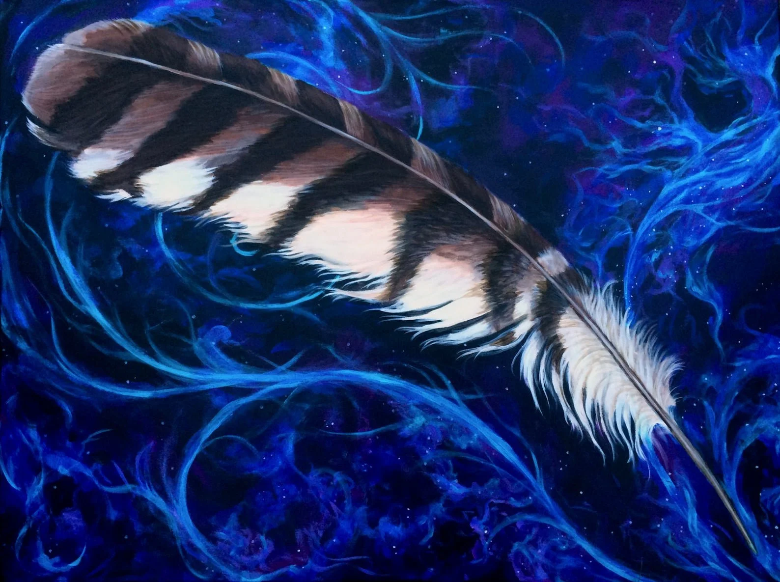 Hawk Feather