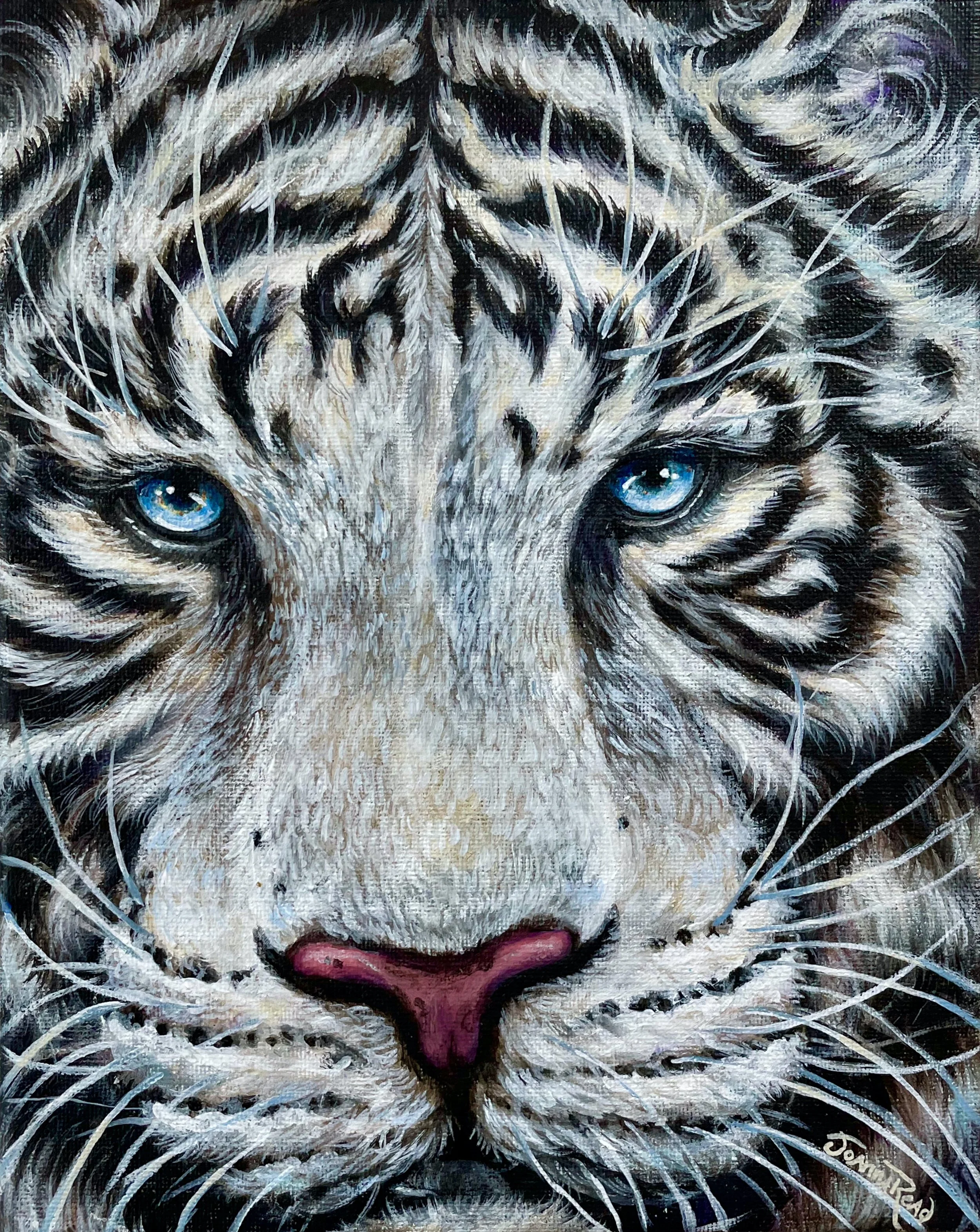 IMG_1351 (1).jpeg