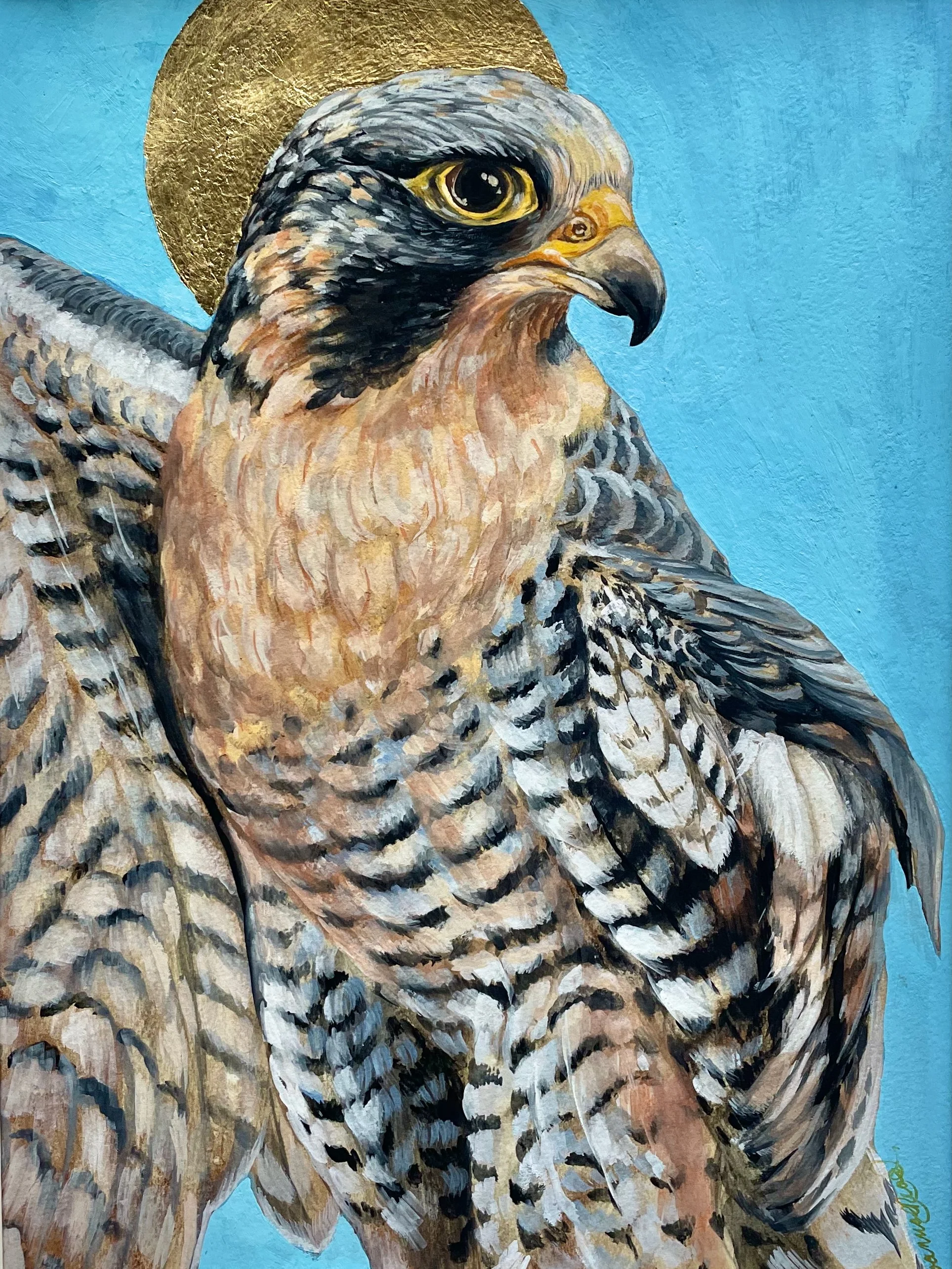 Falcon Rebirth.jpeg