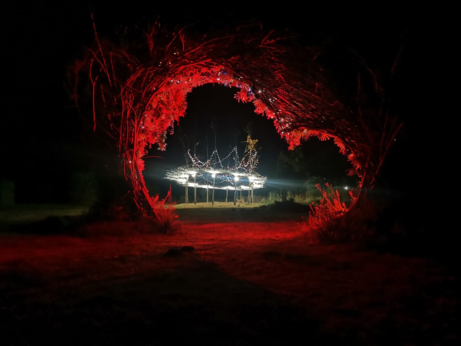 WhatsApp Image 2024-02-01 at 11.33.57.jpeg