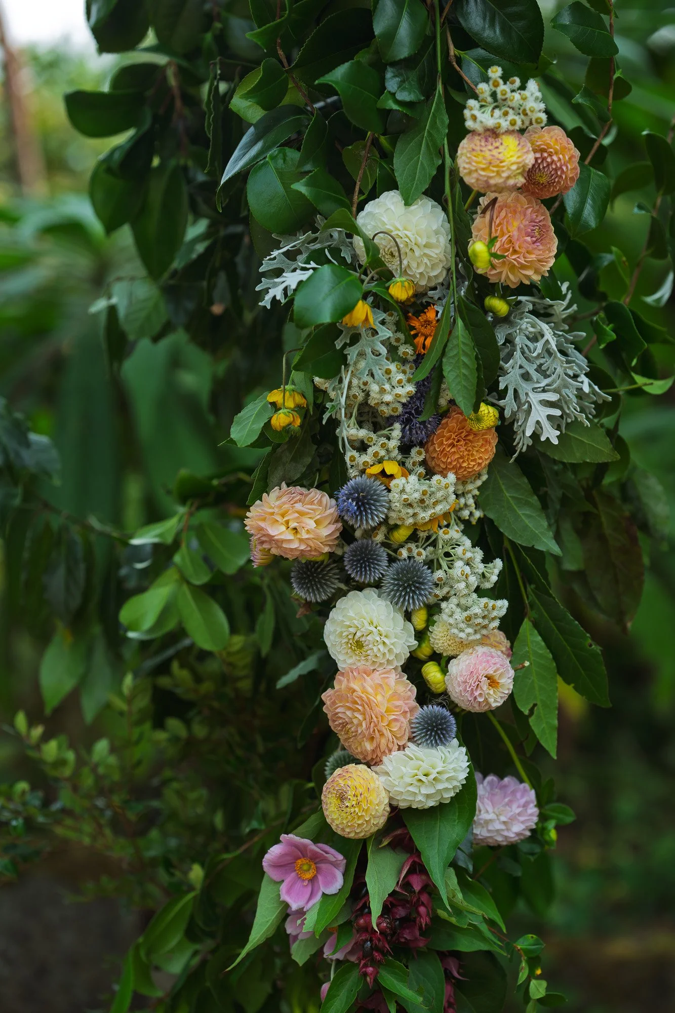 wedding photography-103567.jpg