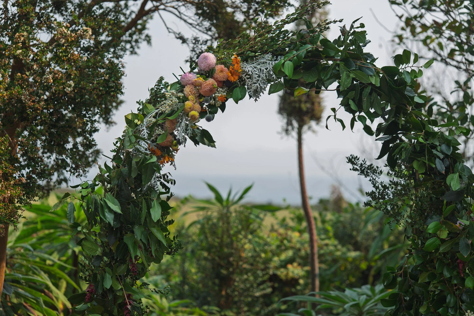 wedding photography-103566.jpg