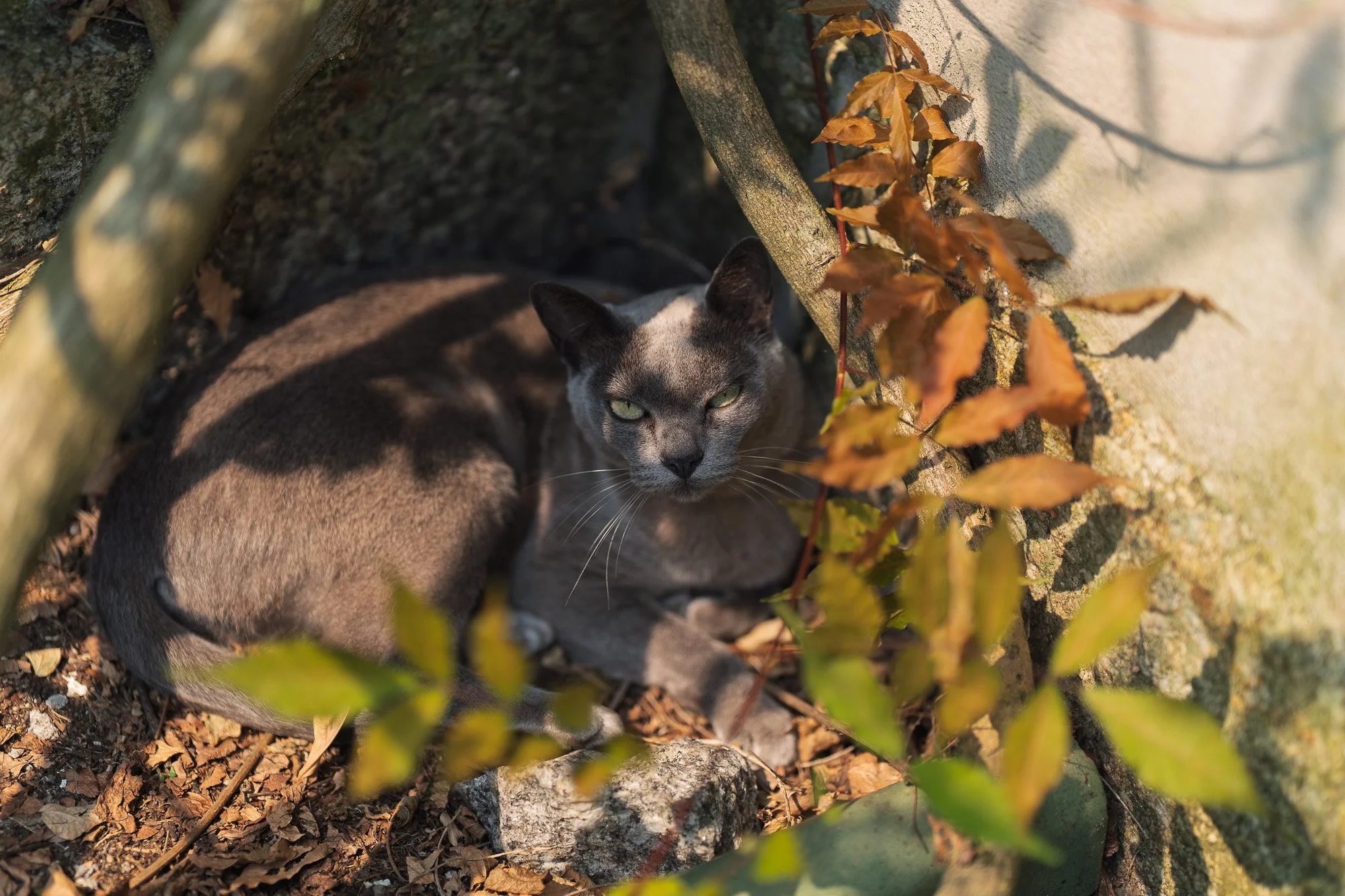 wedding photography-104538.jpg