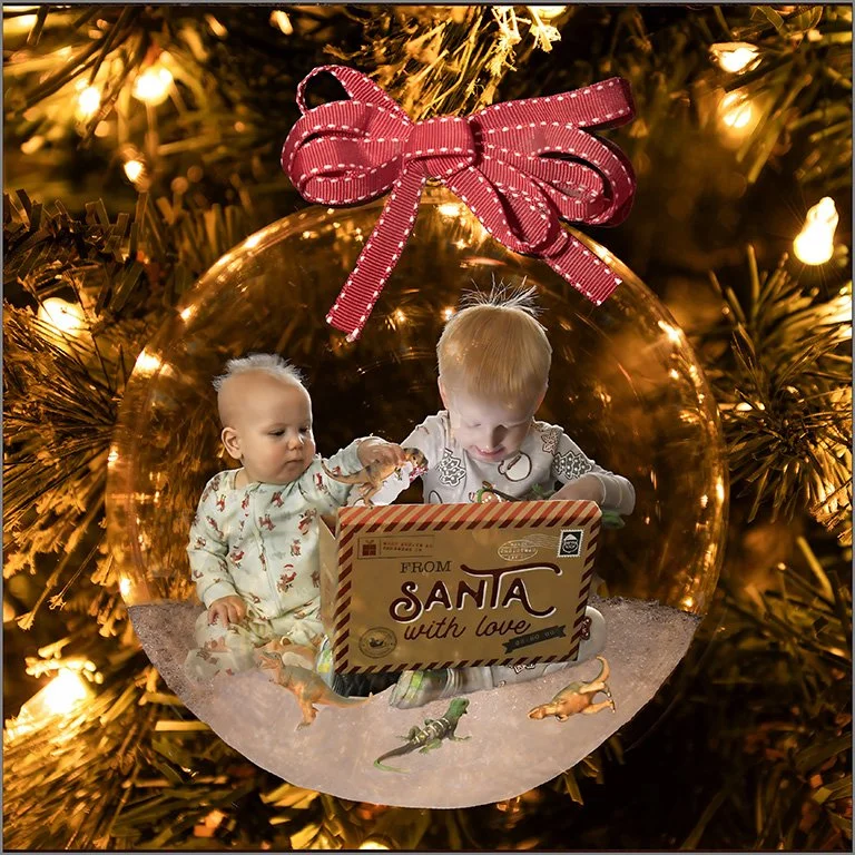 "From Santa With Love" - Sharlene P - Alteration of Reality - Image of the Month 