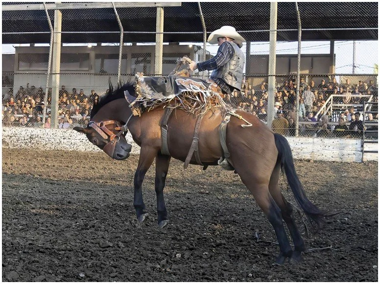 "Out of the Gate"-Julia W - Straight Out of the Camera - Award