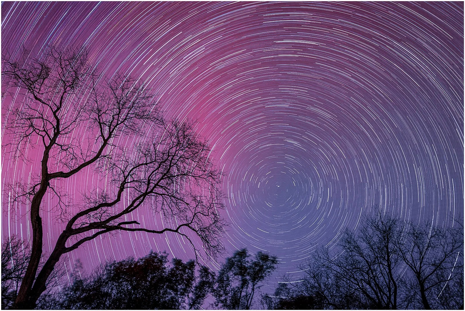  Northern Lights with Star Trails - CACCA - Karen Grillion.jpg