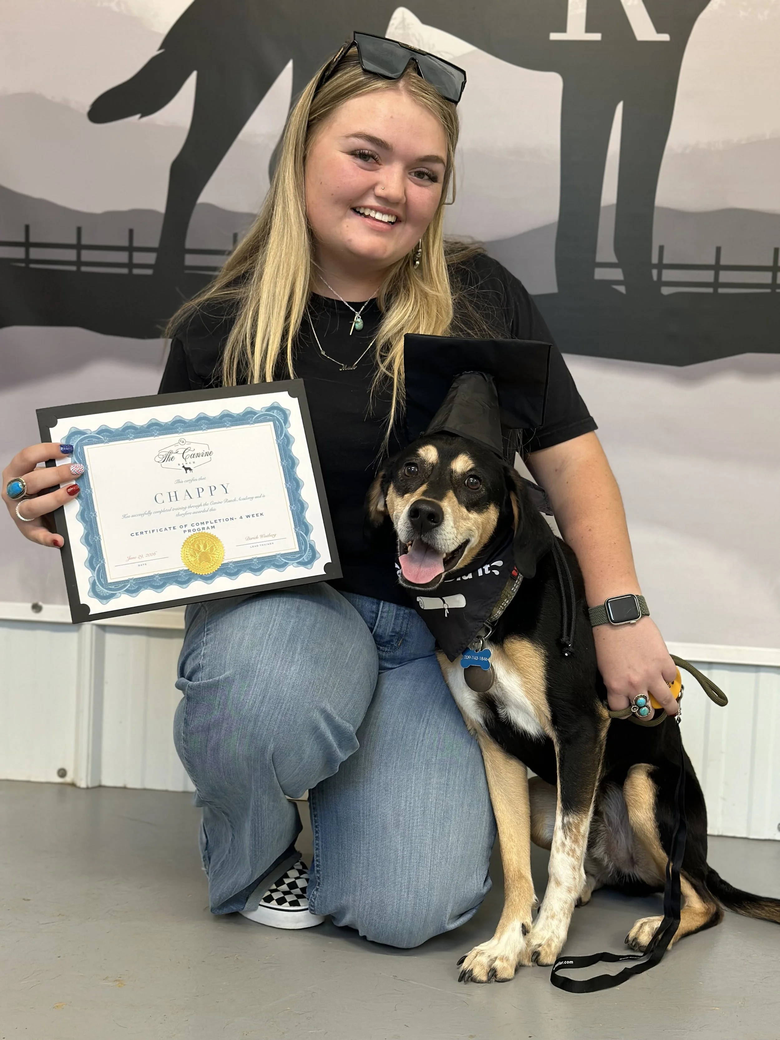 Experienced dog trainers near me, best dog trainers for rescues, Rescue dog training, Board and Train dogs for Rescues, Hound dog training, best dog trainers in Central California, Copperopolis dog training