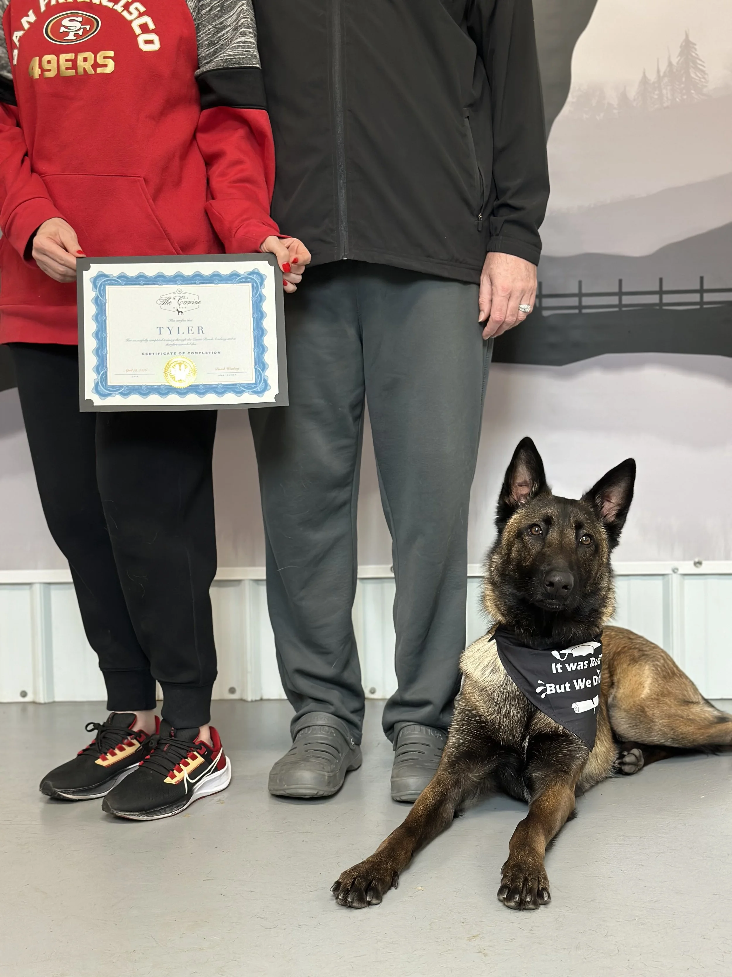 Belgian Malinois Trainers. Training for your Belgian Malinois. Best Dog Trainers near me. Best Malinois trainers near me. Board and Train Program. Dog Training near me. 
