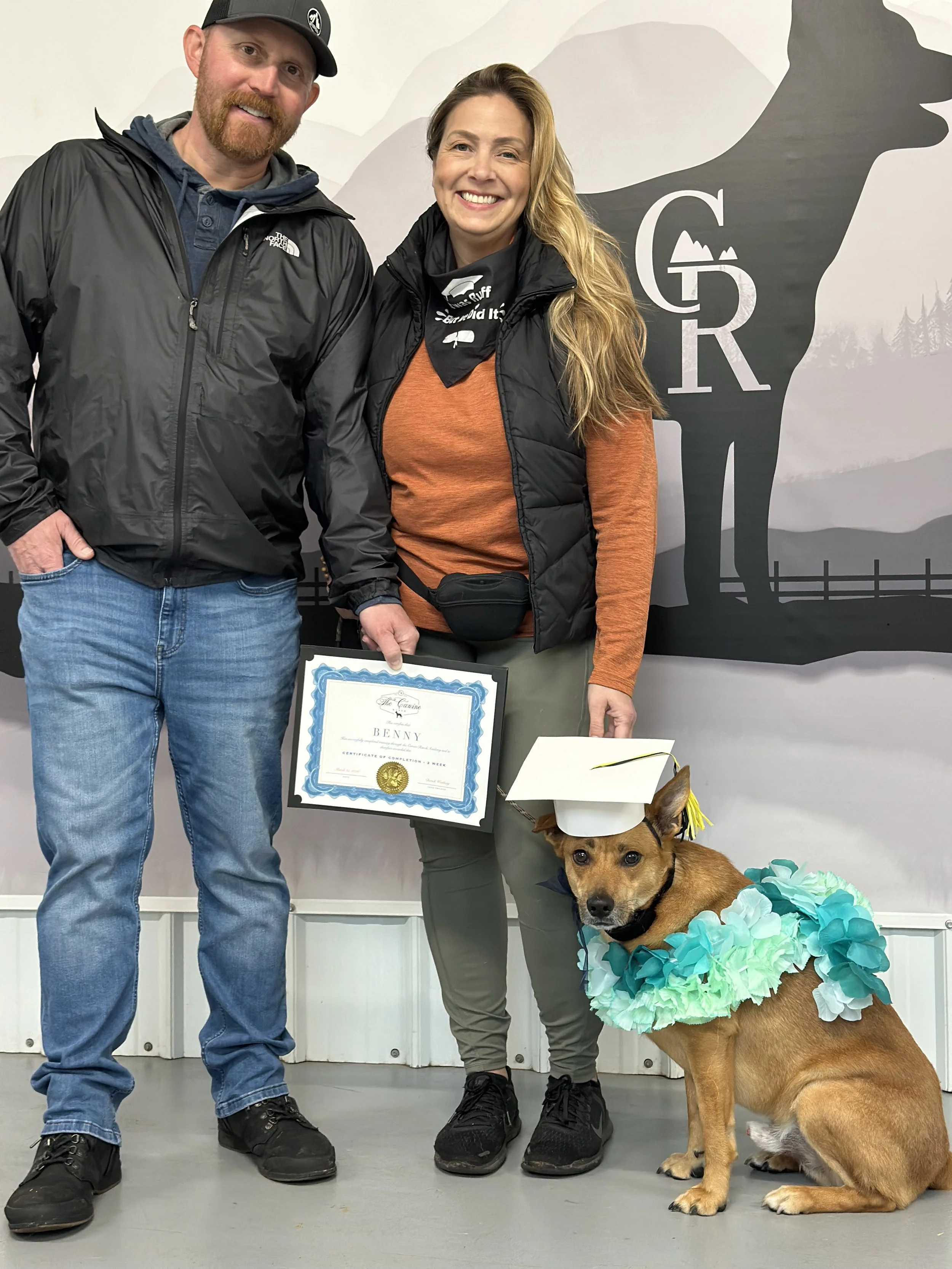 Rescue and Foster dog training program. Rescue dog trainers. Foster Dog Training. Best Dog trainers near me. Best Dog trainers in Copperopolis. Board and Train program.