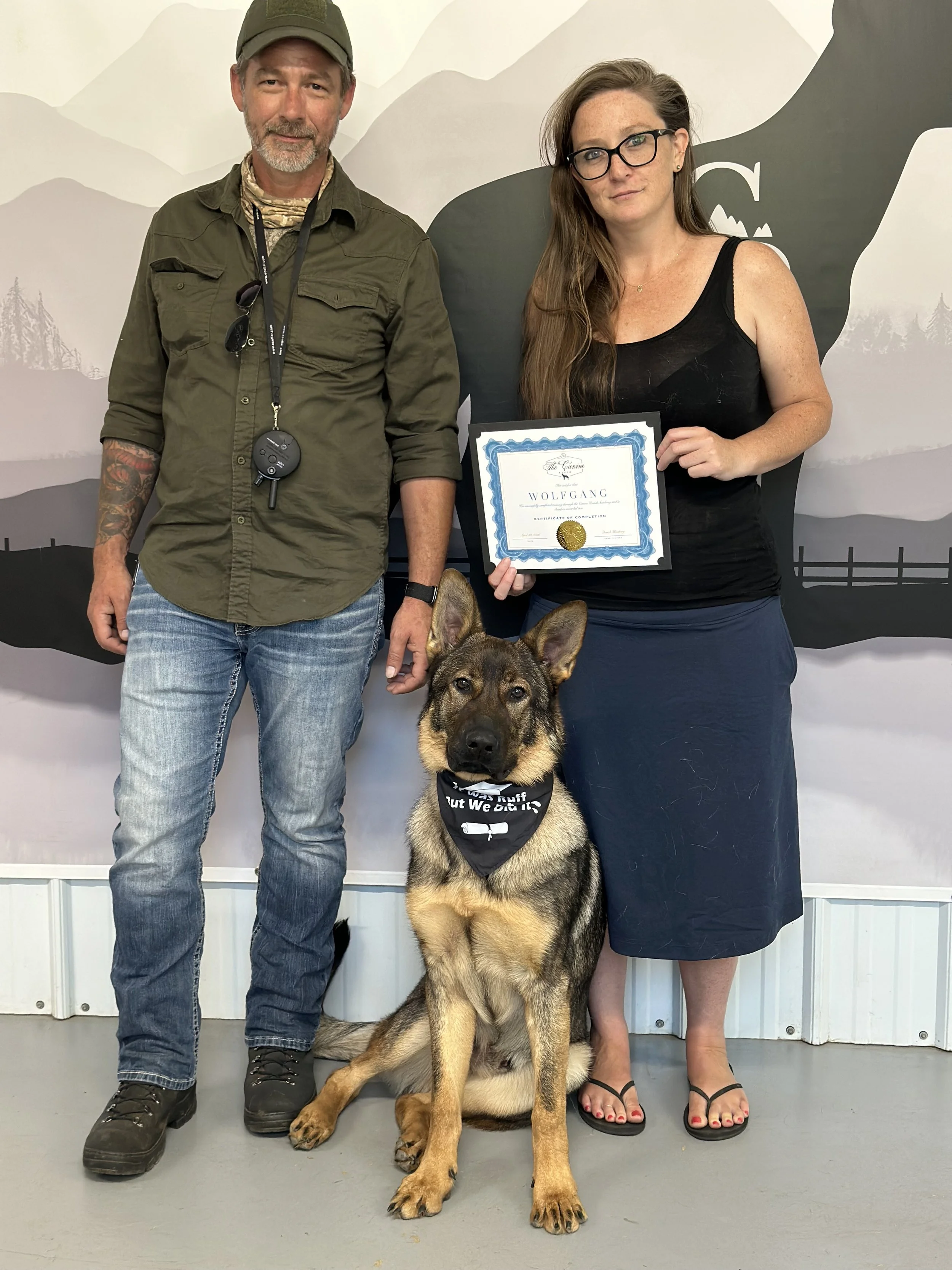 Best German Shepherd trainers near me. Working Line German Shepherd Training. Board and Train near me. Best dog trainers near me. Training for my German shepherd. Working dog trainers. Successful dog training. Top rated dog trainers near me. 