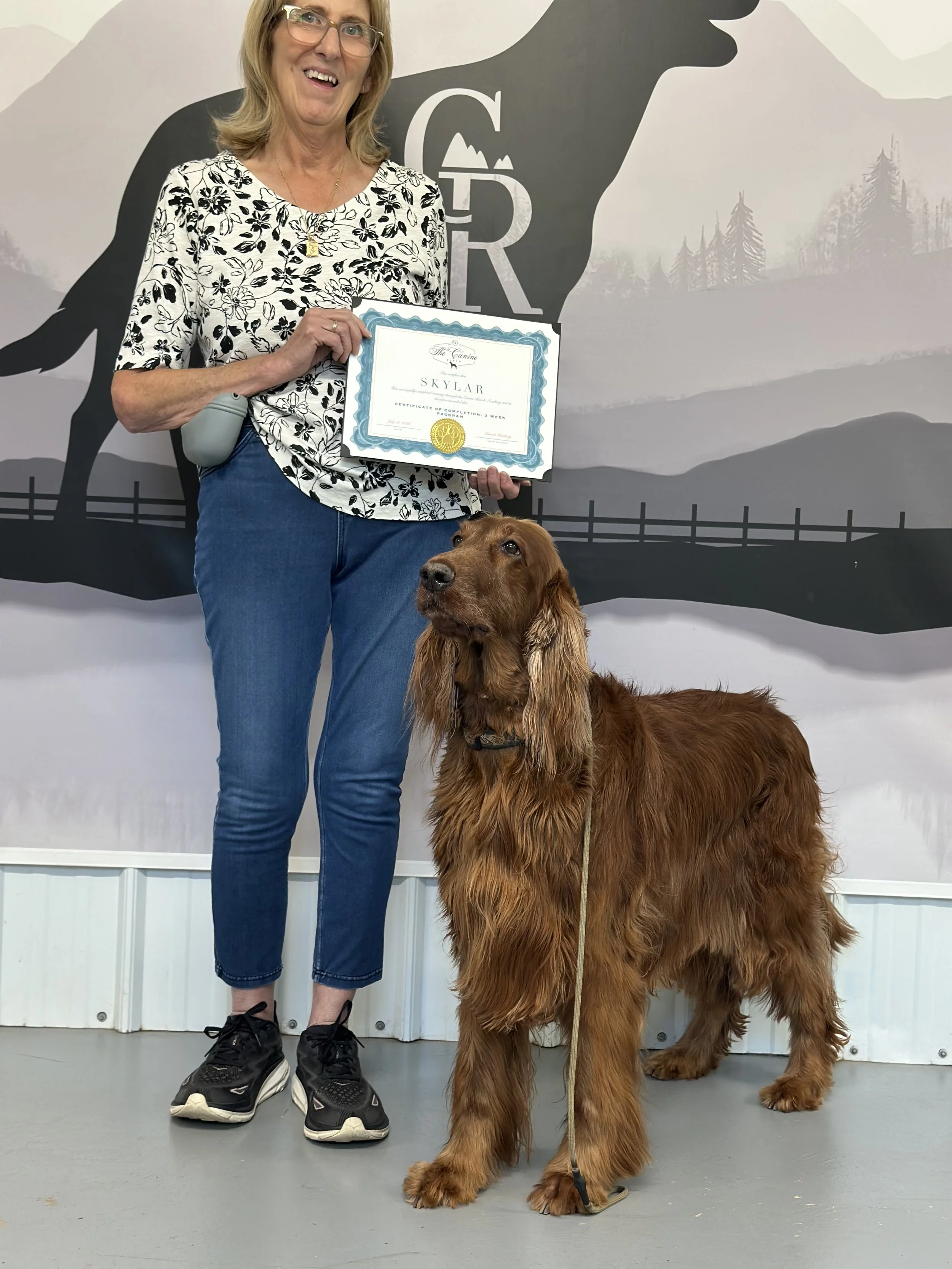 Training for Irish Setters. Irish Setters. Dog trainers in Copperopolis, CA. Best Dog Trainers near me, Working Dog Trainers, Expert Dog Training, Board and Train Program near me
