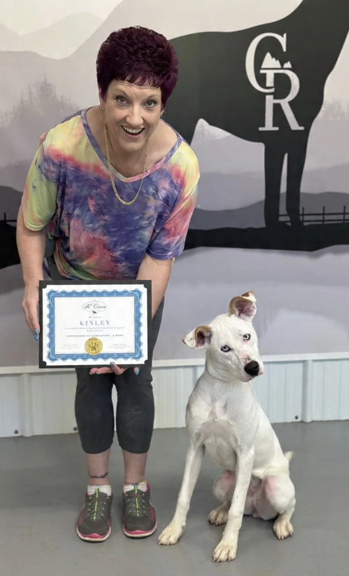 Rescue dog training program. Rescue dog trainers. Best Dog trainers near me. Best Dog trainers in Copperopolis. Board and Train program.