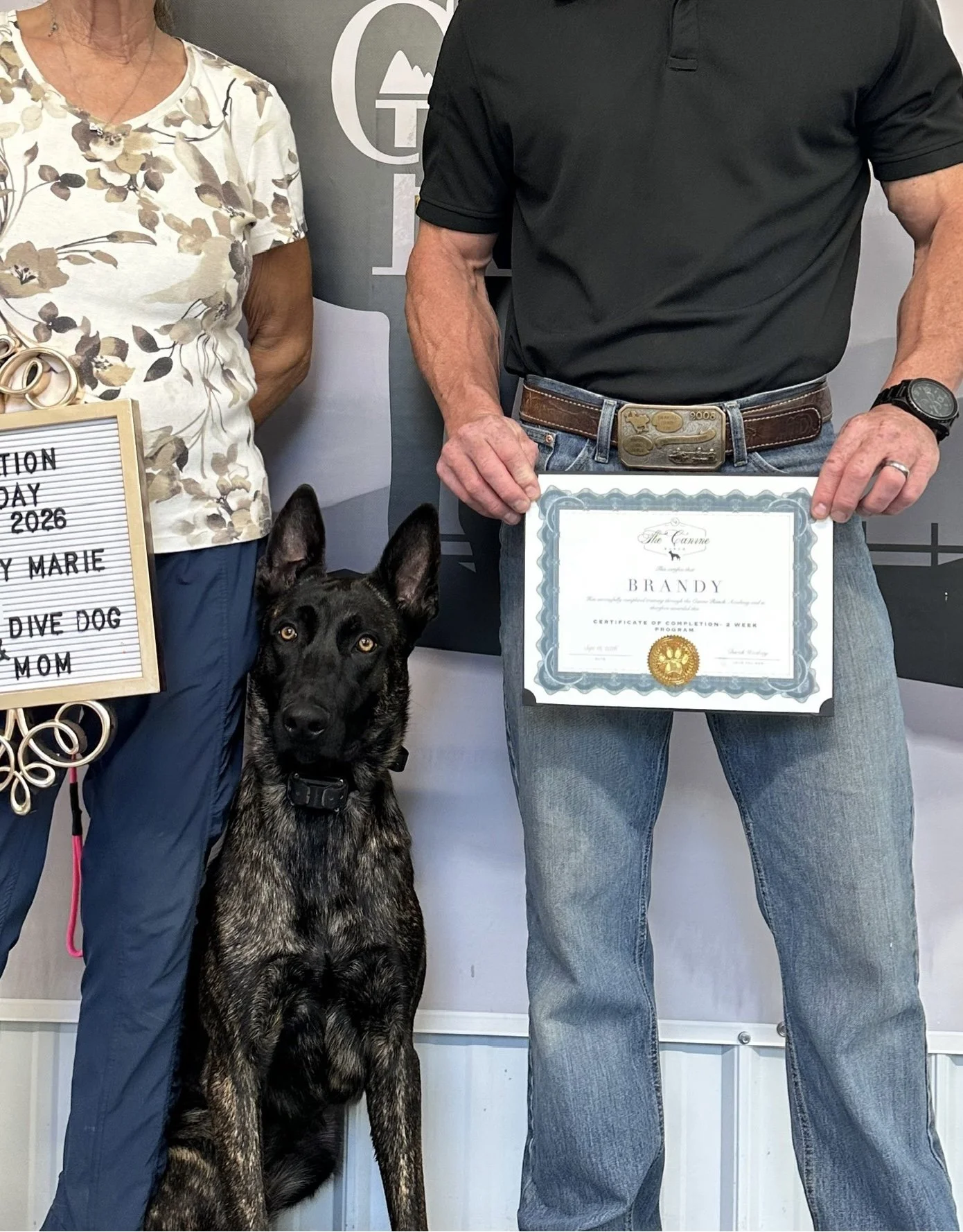 Shepherd graduate of the canine Ranch CA board and Train program, demonstrating reliable off leash obedience, recall and engagement around real world distractions 