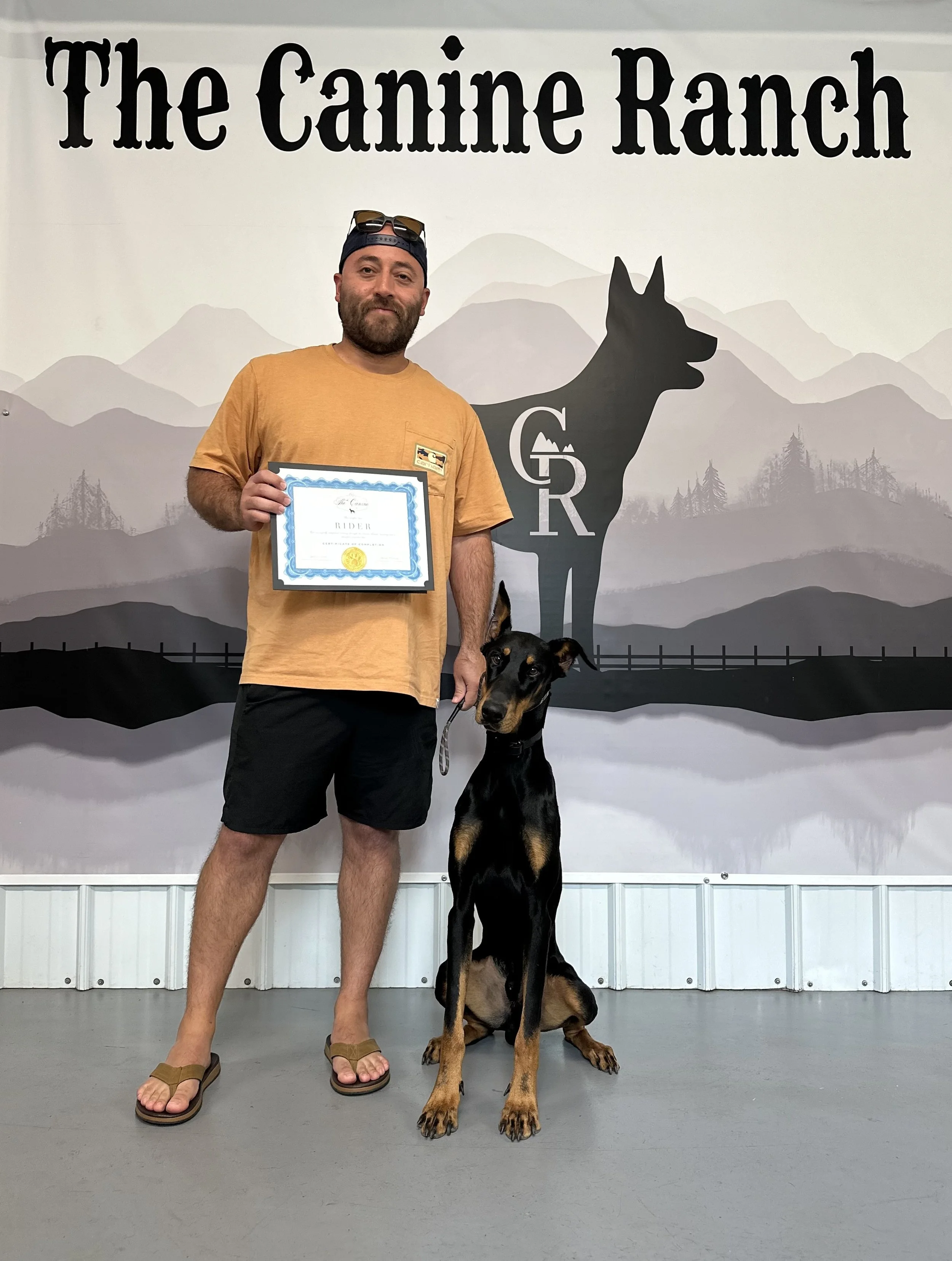 Best Doberman Trainers near me. Best dog trainers near me. Best Dog Trainers in Copperopolis. Doberman Pinscher Training. Board and Train programs. Training Success. Dog training Transformation. 