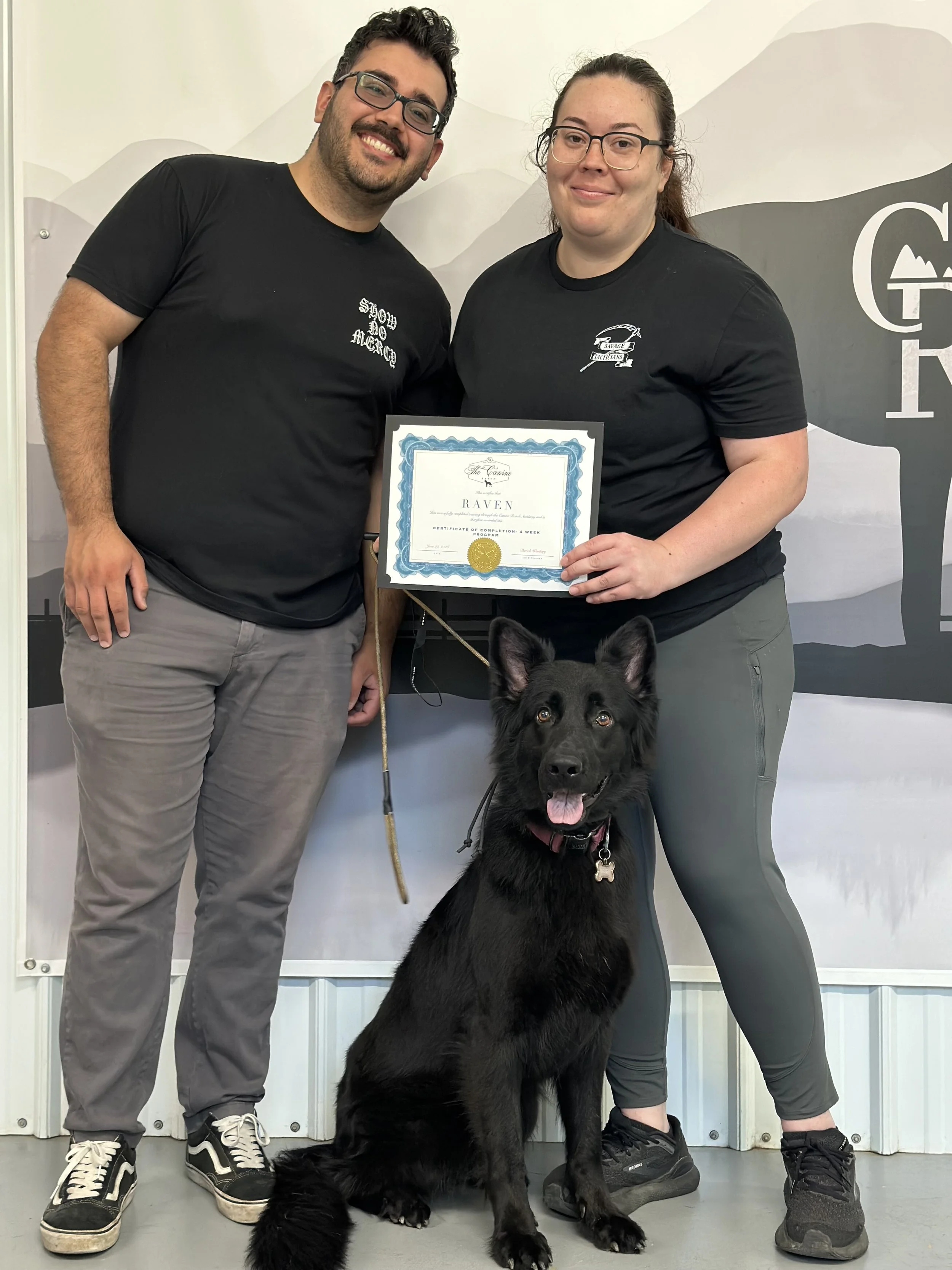 German Shepherd trainers, best dog training in Calaveras County, German shepherd training, Board and Train programs near me, best dog trainers near me. Dog training in Copperopolis, Dog trainers in Oakdale, Dog trainers in Murphys, Angels Camp Dog tr