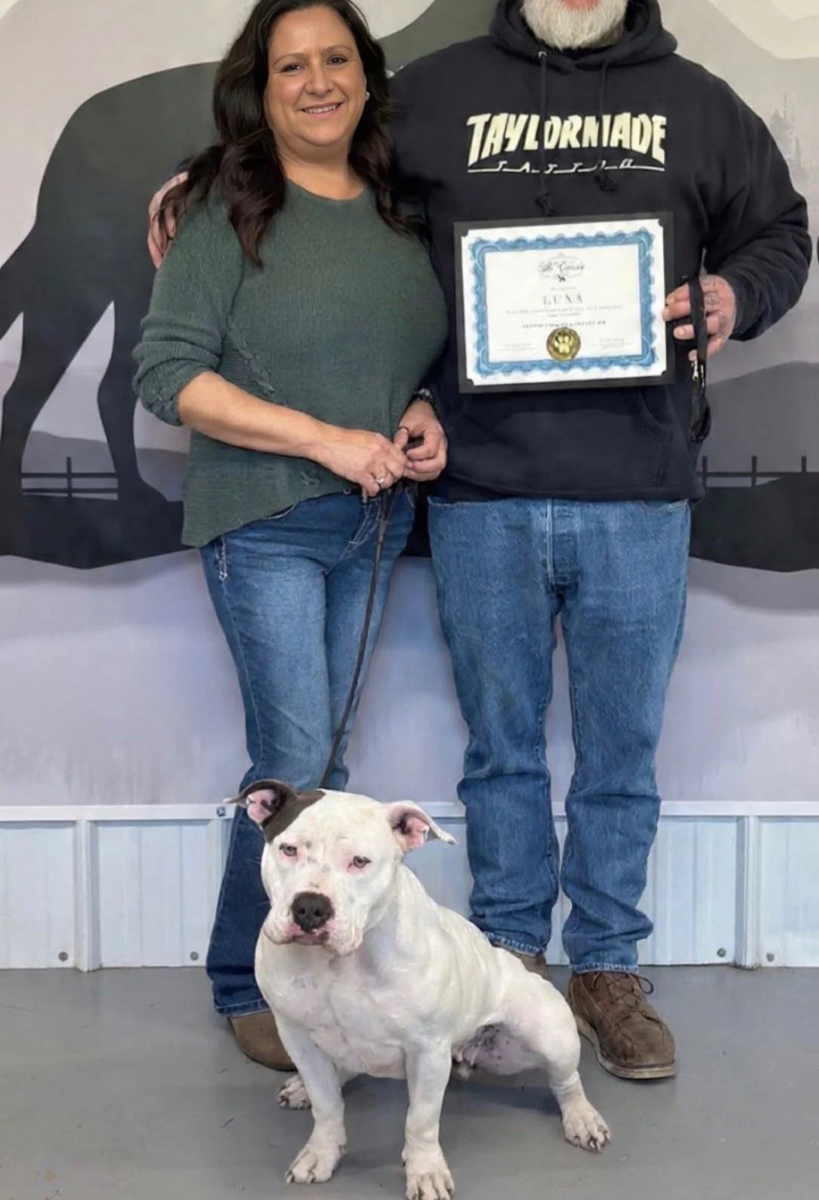 American Bully Training, Training for Bully breeds, Experienced Bully Breed Trainers, Board and Train Program, Reactive Dog Training, Off leash obedience training, Professional and Experienced dog trainers, Rescue Dog Trainers, Rescue Dog Training
