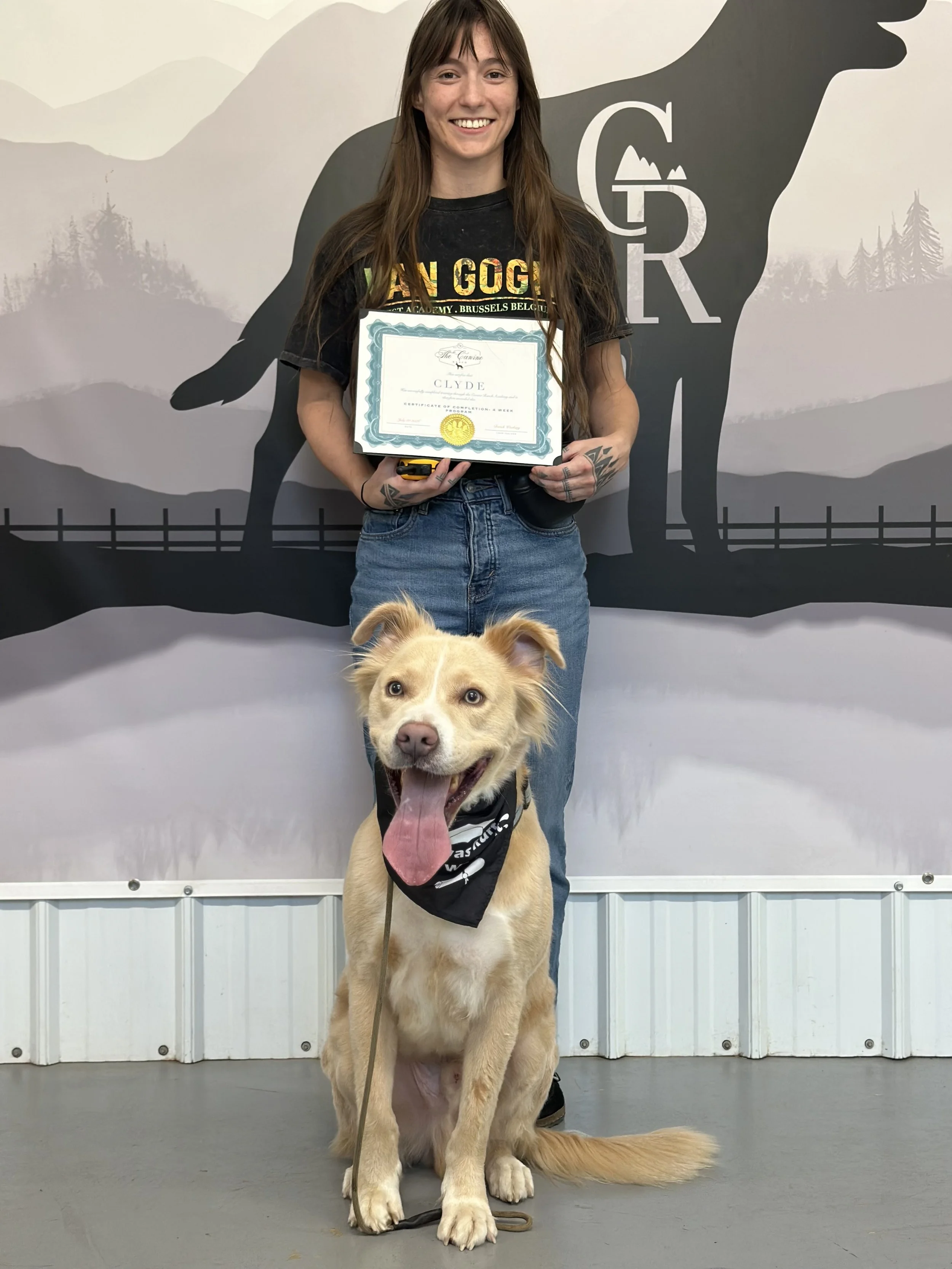 experienced pitbull trainers, dog trainers near me, rescue dog trainers, experienced dog trainers, training for pitfalls, off leash dog training, board and train programs near me, Copperopolis dog training