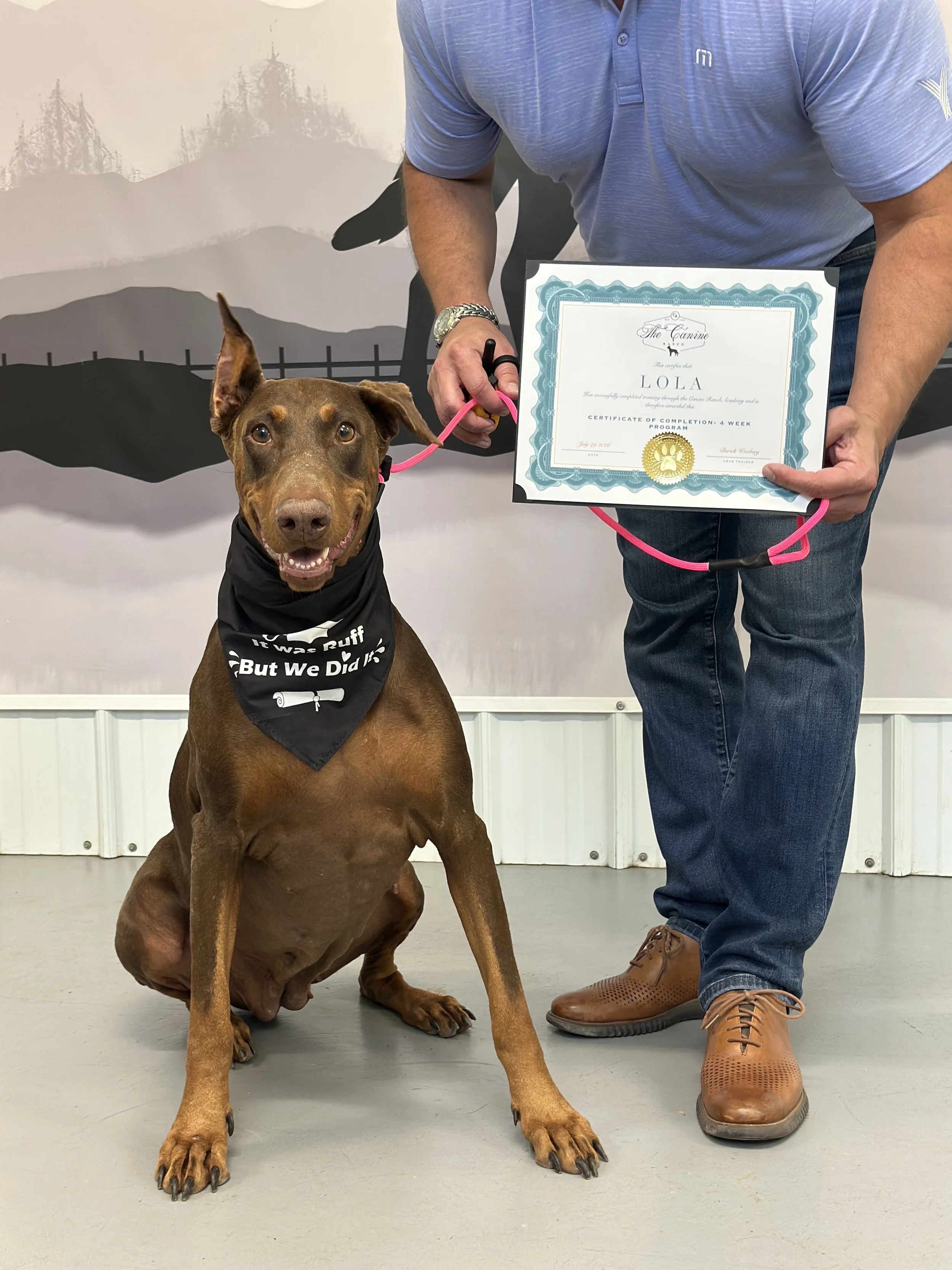 doberman trainers, training for doberman pinschers, best dog trainers in Copperopolis, dog training in Copperopolis, off leash training programs, dog training programs near me,