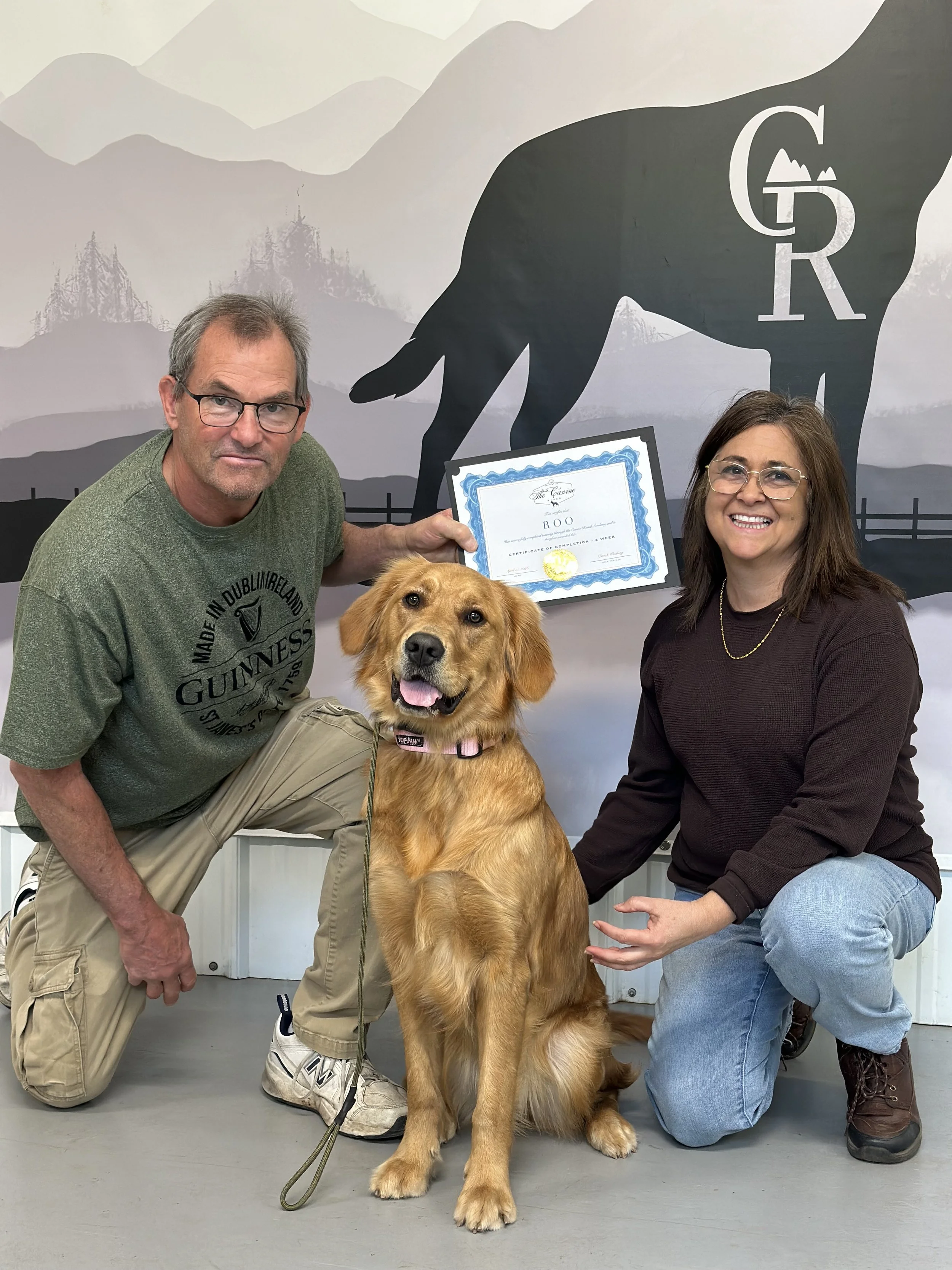 Best Dog Trainers near me. Dog Trainers. Board and Train Programs for dogs. Top Dog Trainers. Best Dog training. Dog Behaviorist.  Best Golden Retriever Trainers. Training for Golden Retrievers. Golden Retriever Training, Puppy Programs. 