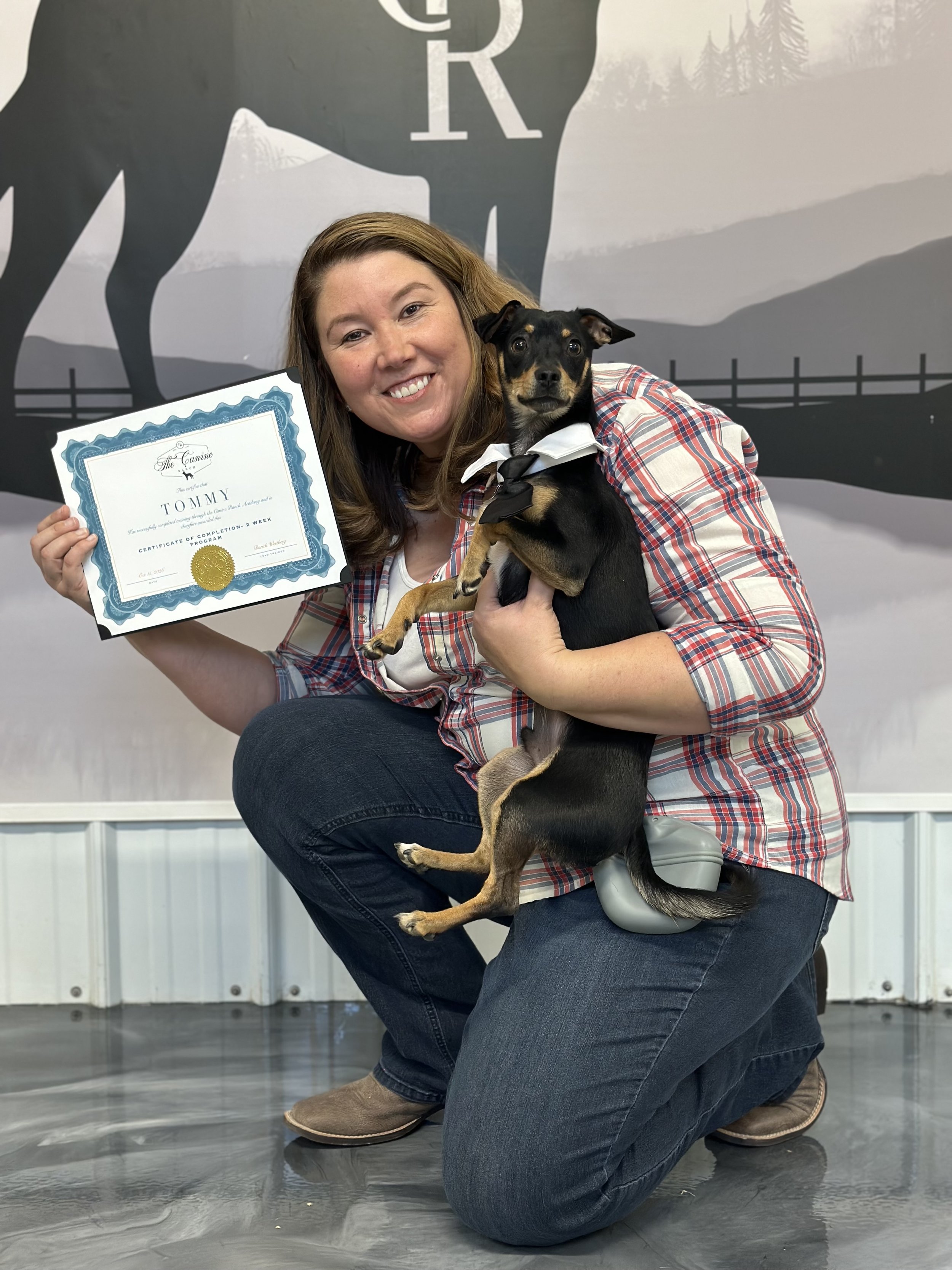 Tommy, a young Chihuahua rescue mix, graduates from professional dog training at the canine ranch in California after completing training for reliable recall, leash manners, off-leash obedience, and improved impulse control.