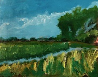 The Marsh at Midday