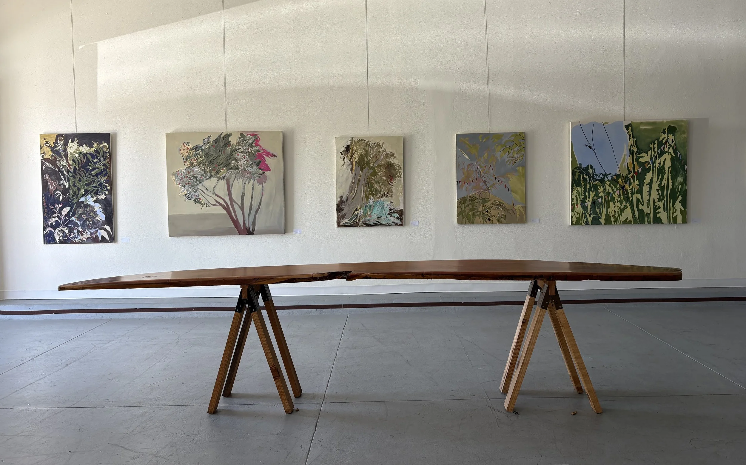 IMG_9517.jpg