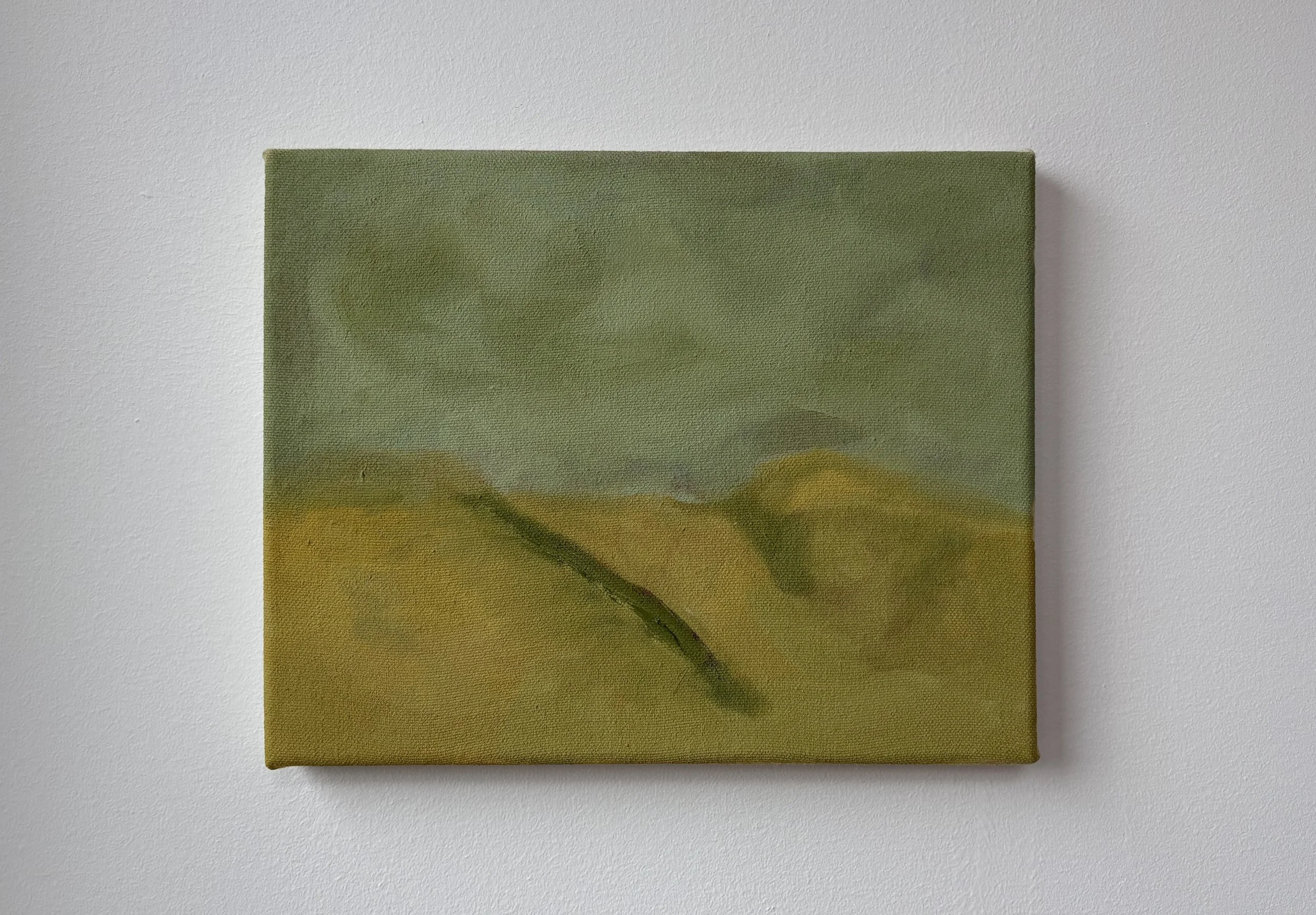 Green mountains, 2025, 8 x10", oil on canvas