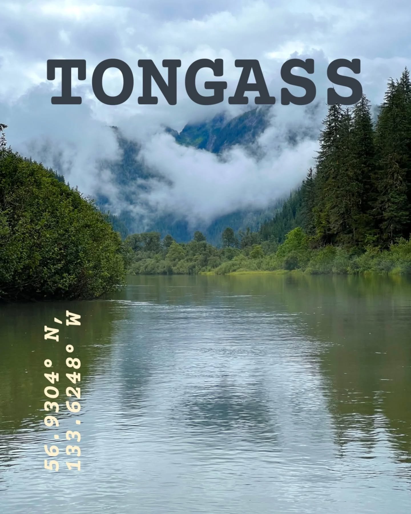 Mark here. Deep in the southeastern reaches of Alaska lies the Tongass National Forest, a vast expanse of temperate rainforest that stretches across nearly seventeen million acres. Towering spruce and hemlock trees, veiled in moss and lichen, form a 