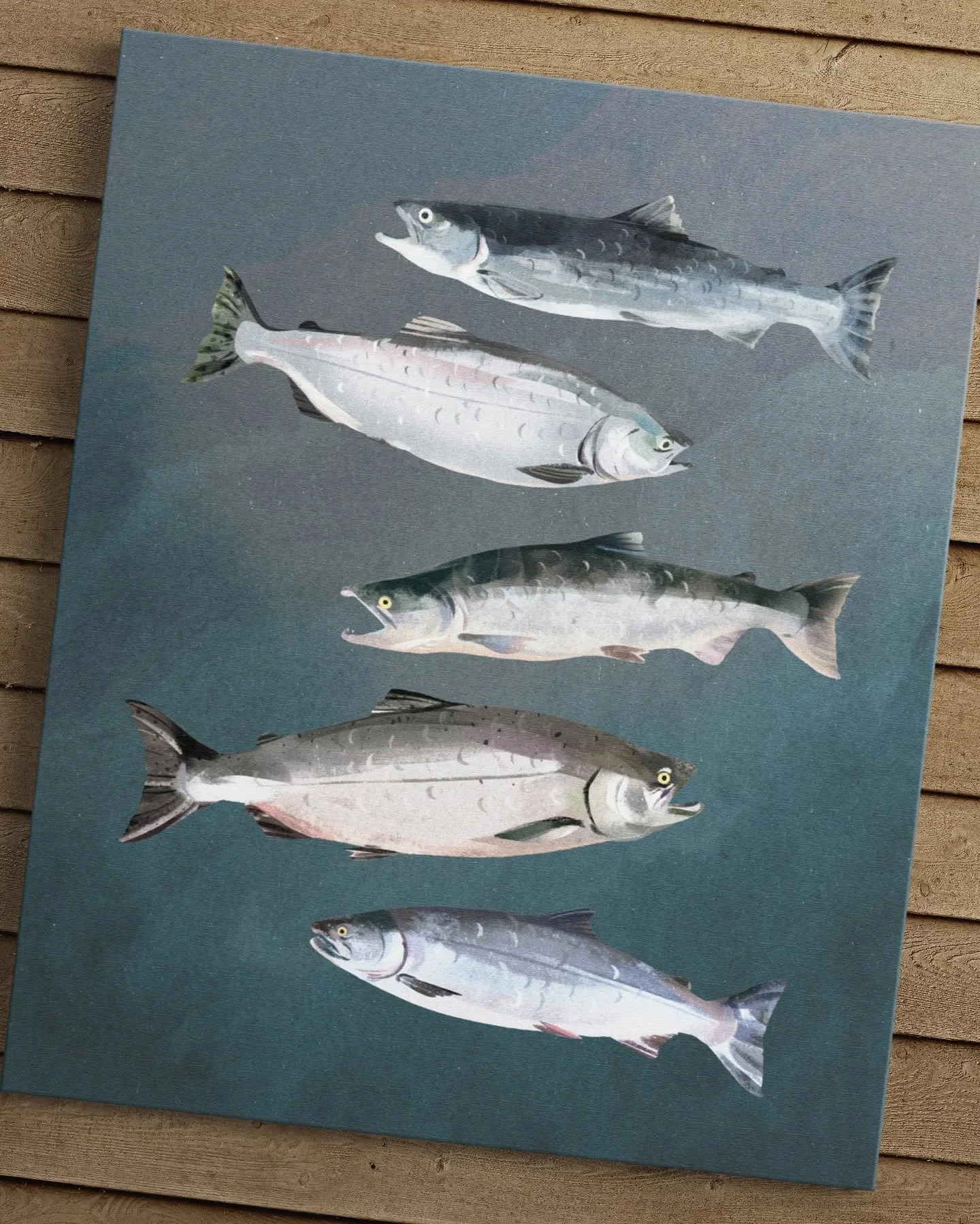 &ldquo;Ocean Phase&rdquo; (2025), by Kelsey Mata Foote

Here are a few words by @kelseymatafoote herself about the piece and its meaning:

&quot;The five species of salmon are depicted here in their ocean phase, before returning to our rivers and str