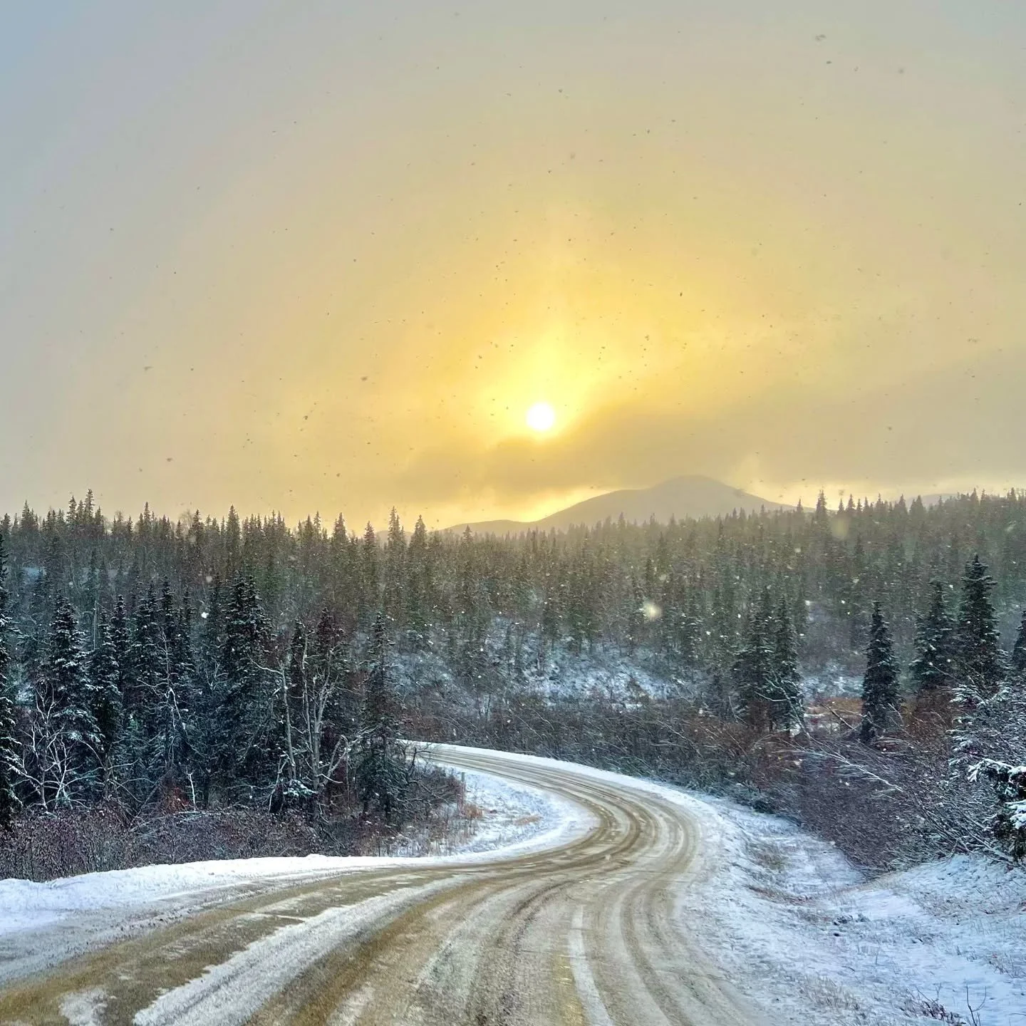 Wishing you a cosy and wholesome Season of Lights ahead, whatever it may look like for you...
May the holidays bring you lovely food and time shared with loved ones, near and far!

📸 By @markdtitus