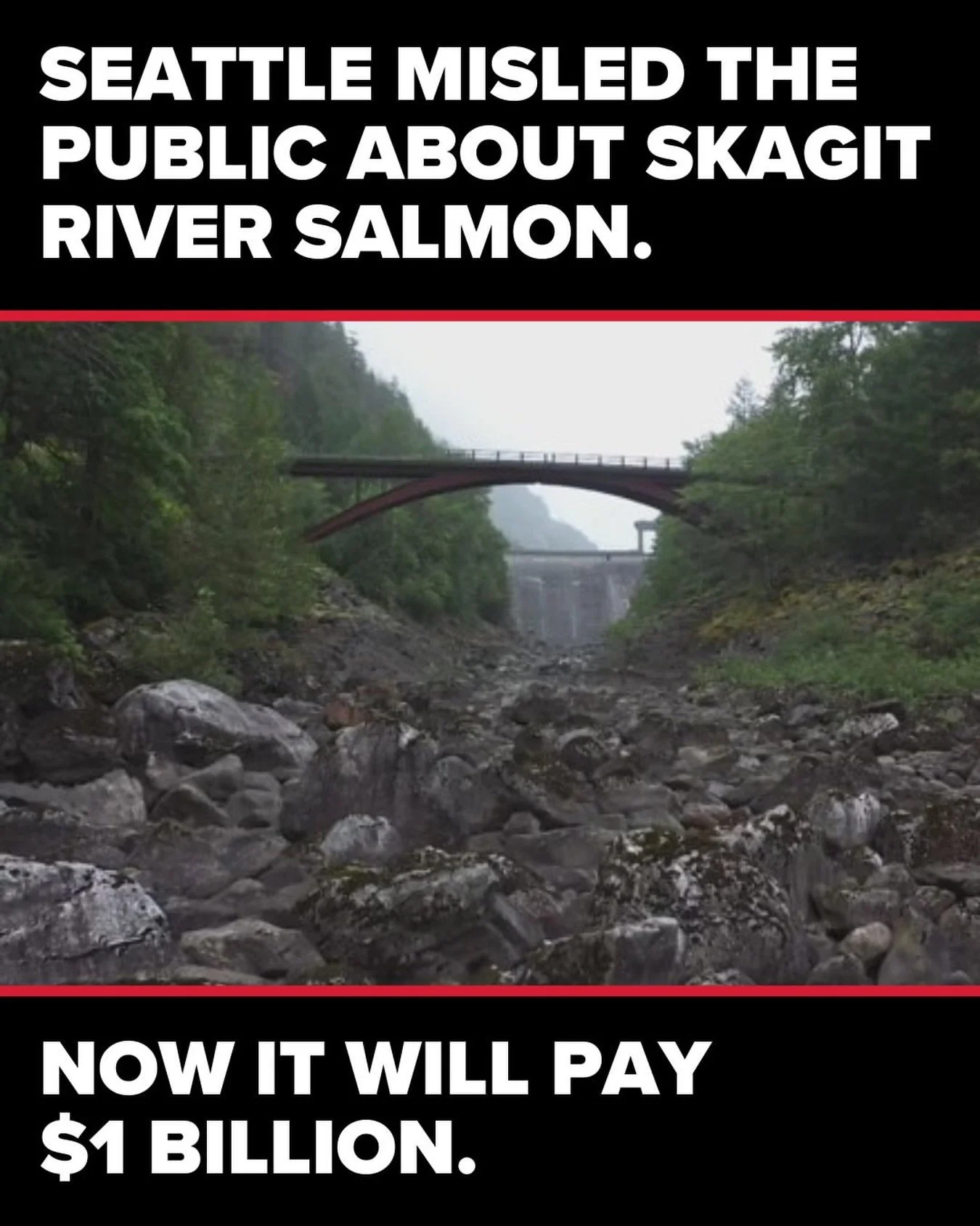 Repost from @king5seattle
&bull;
For years, Seattle City Light insisted its hydroelectric dams on the Skagit River were not harming salmon. In a stunning reversal, it has agreed to invest nearly $1 billion to build fish passage at its three dams. Wat
