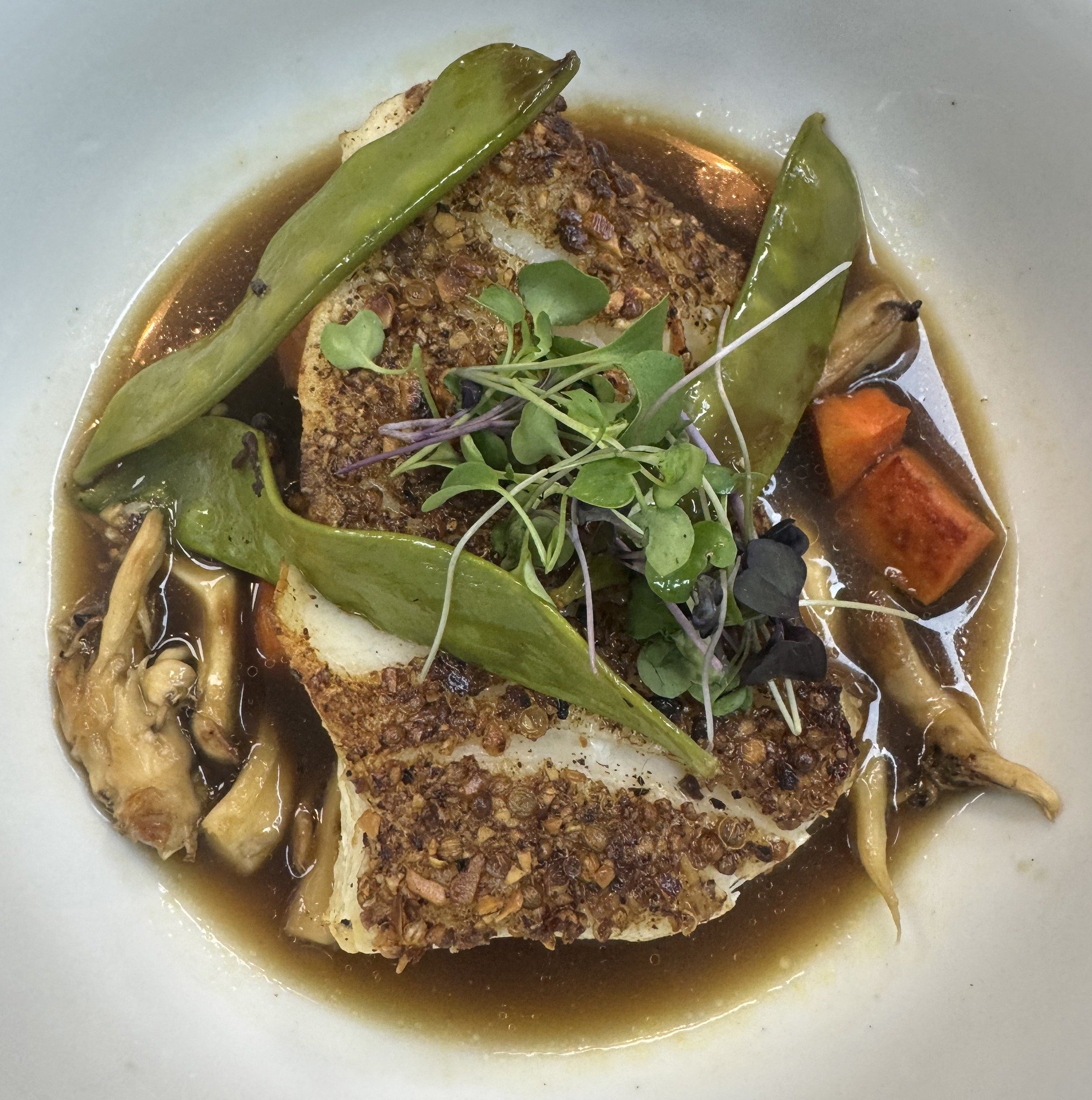 great dane food 1.jpg