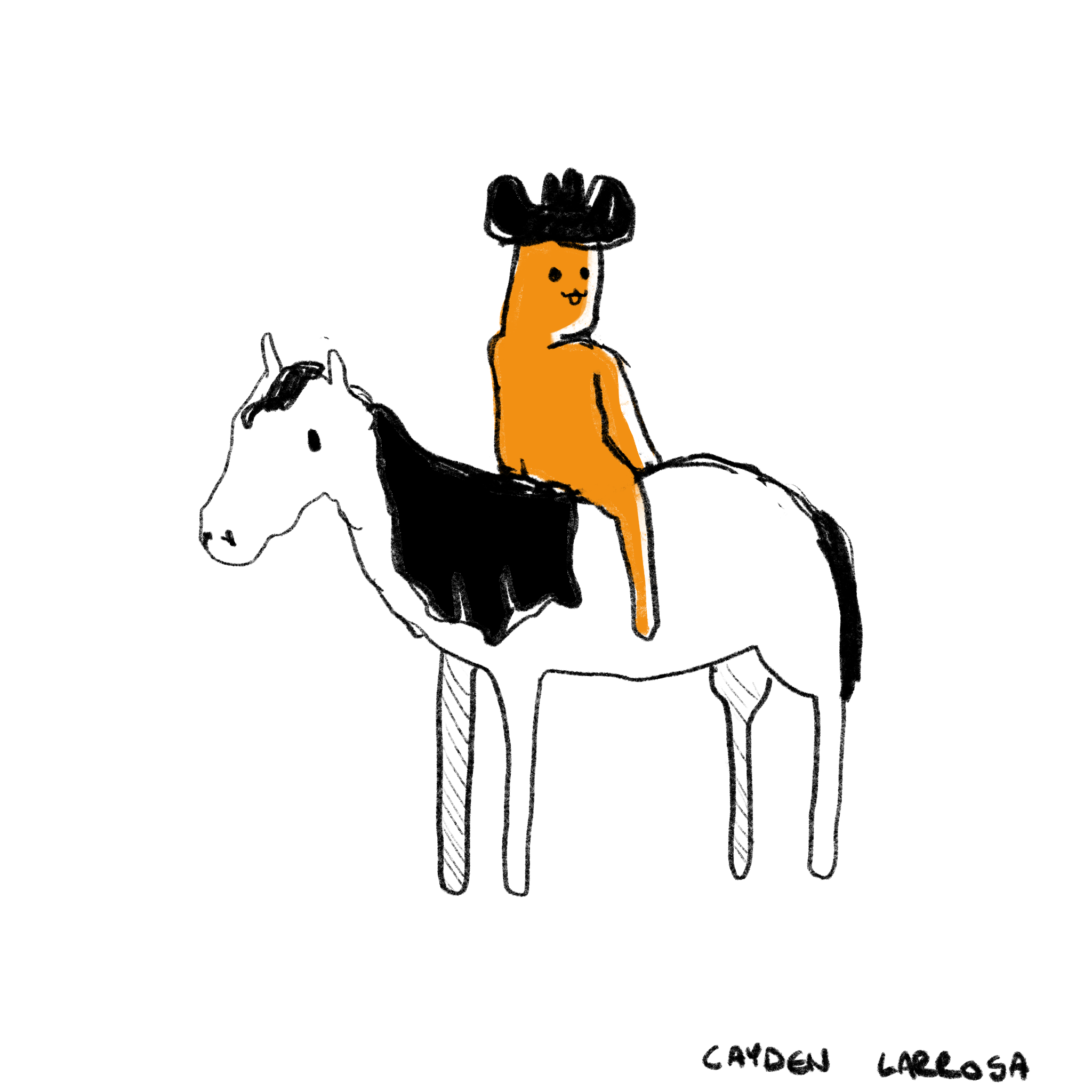 Untitled_Artwork 2.png