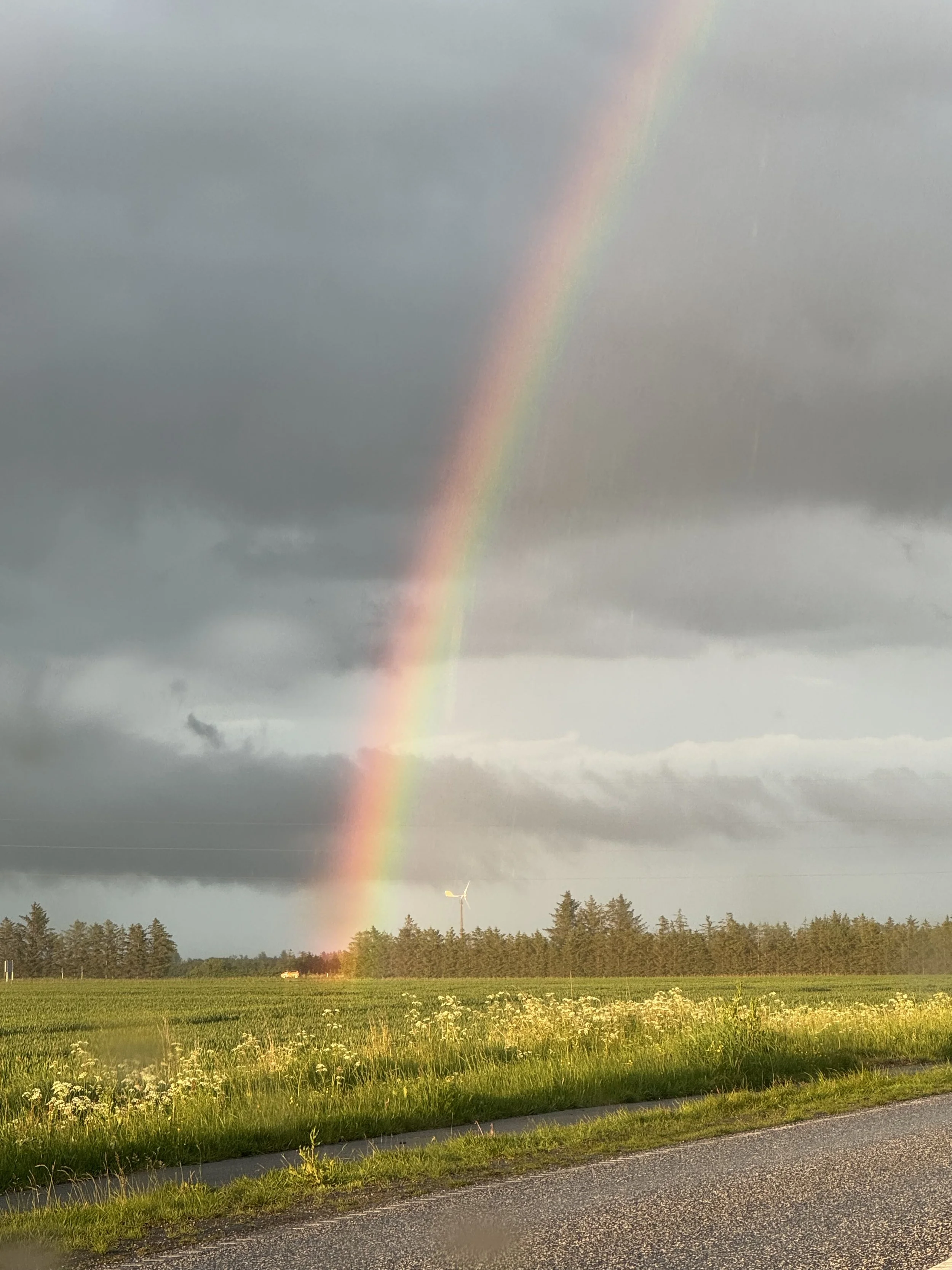 Psykoterapi til mennesker med AuDHD