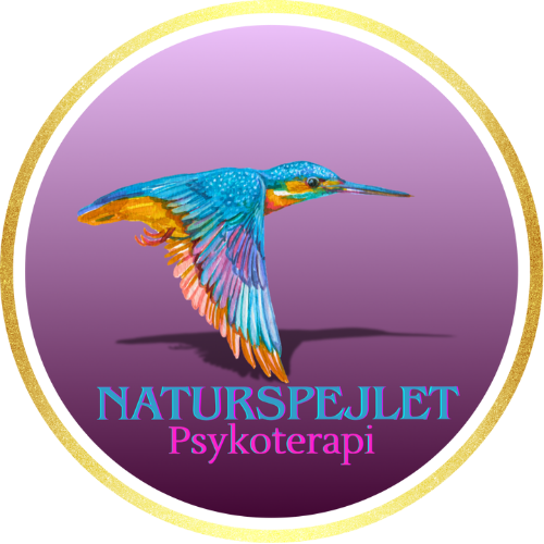 Fænomenologisk og eksistentiel psykoterapi⎮Naturspejlet Psykoterapi