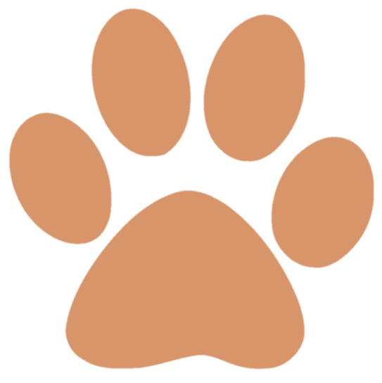 paw orange.png