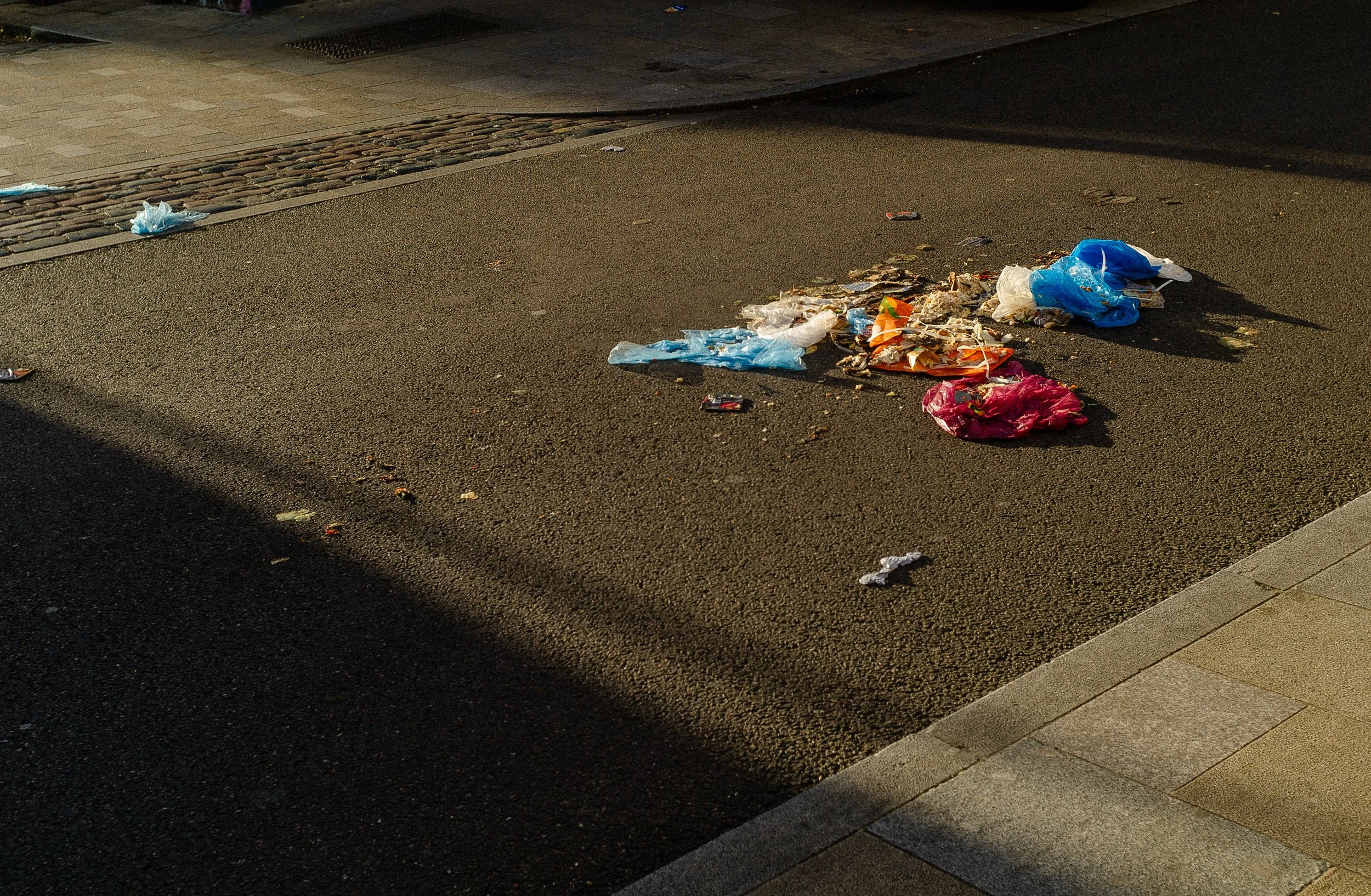 L1002214.jpg