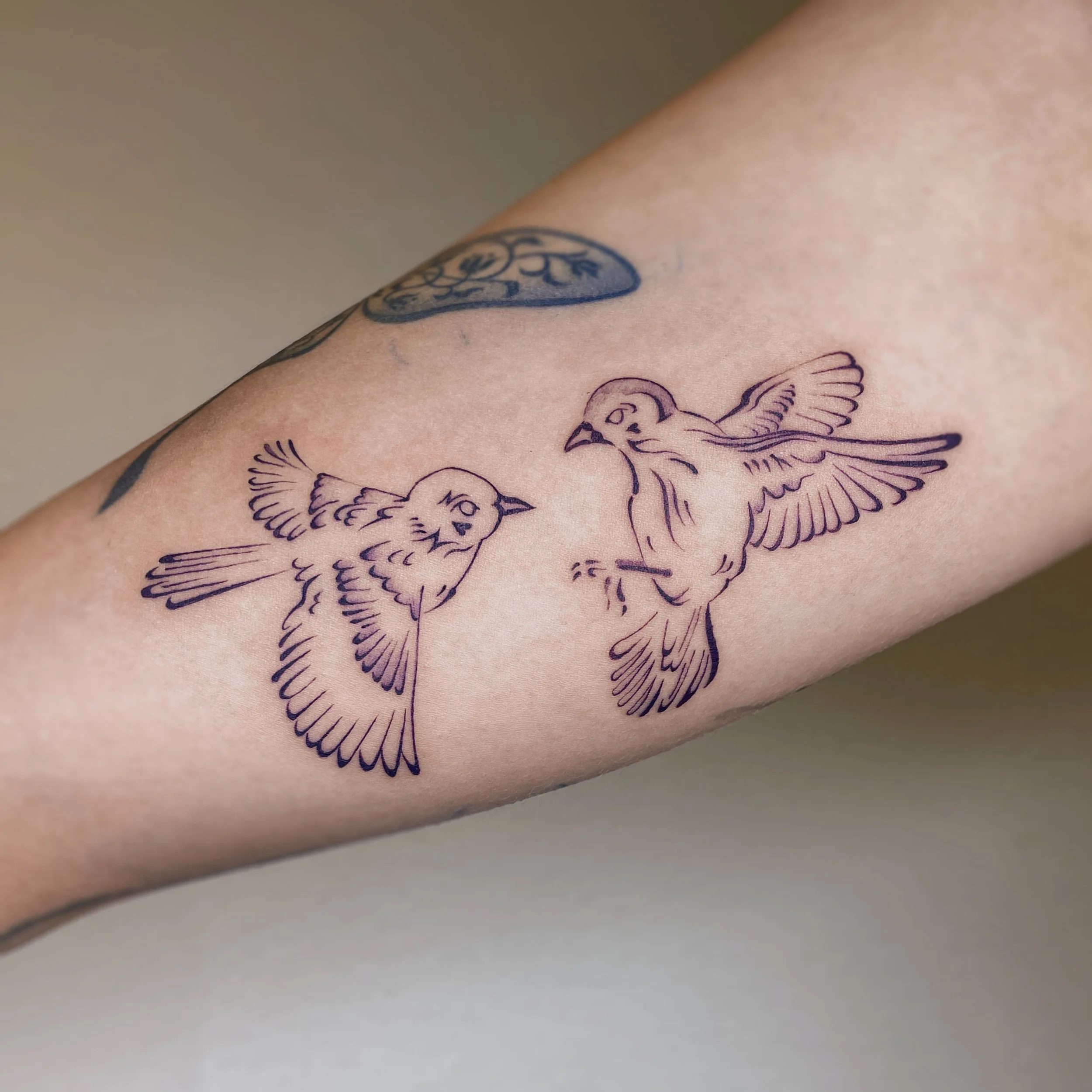 IMG_1703 copy.jpg
