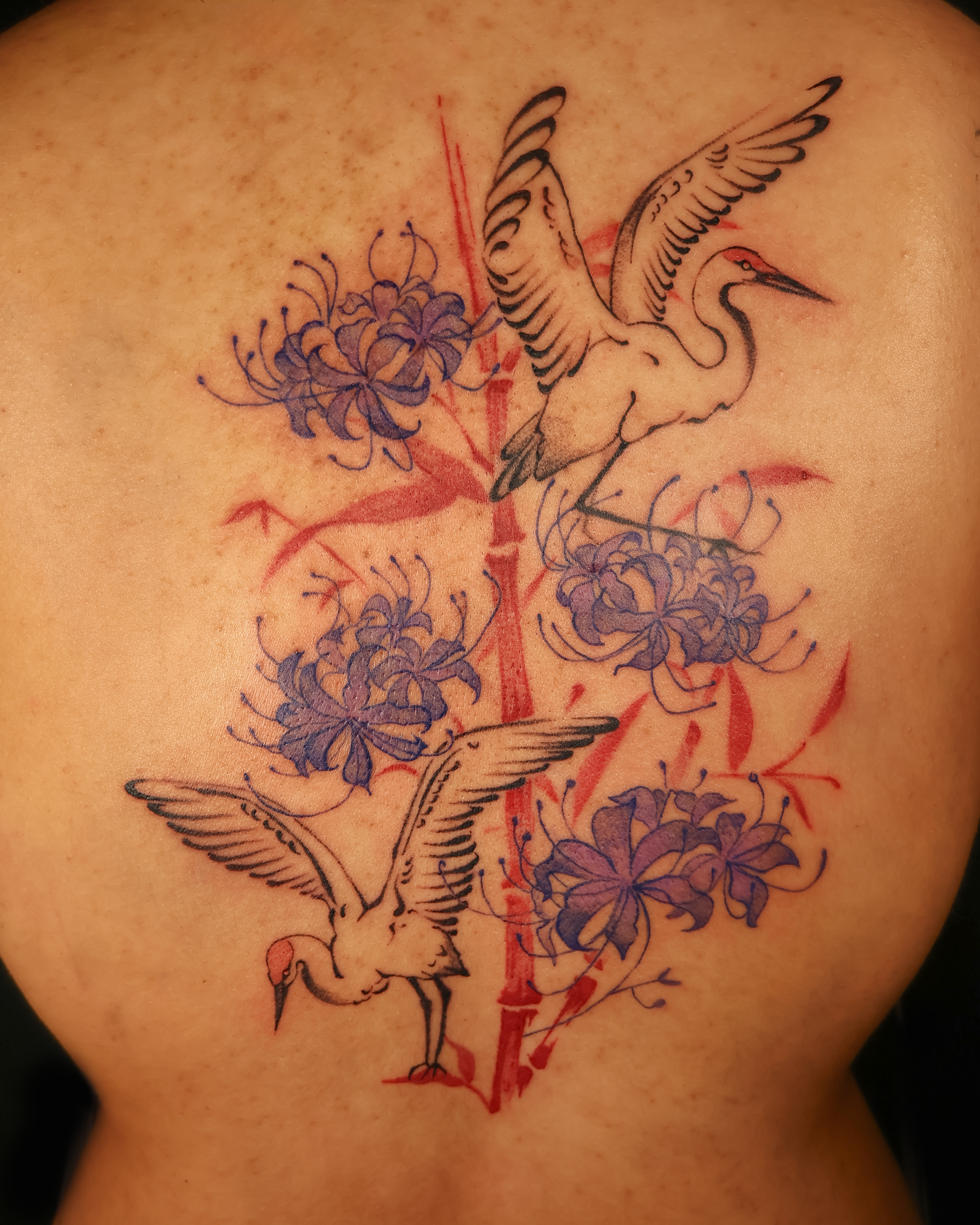 crane tattoo 1.png