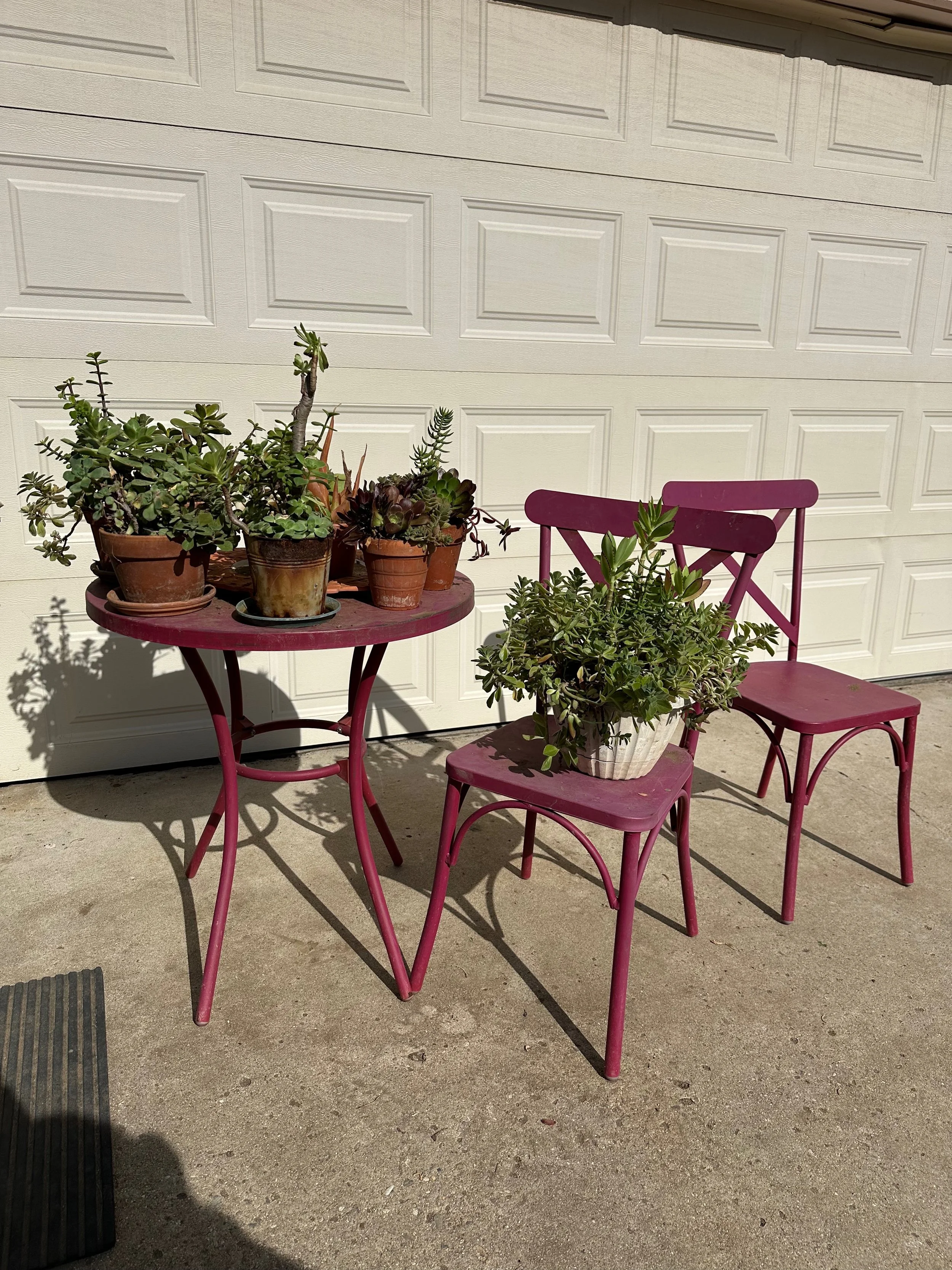 Plant Lover’s Paradise + Vintage Finds