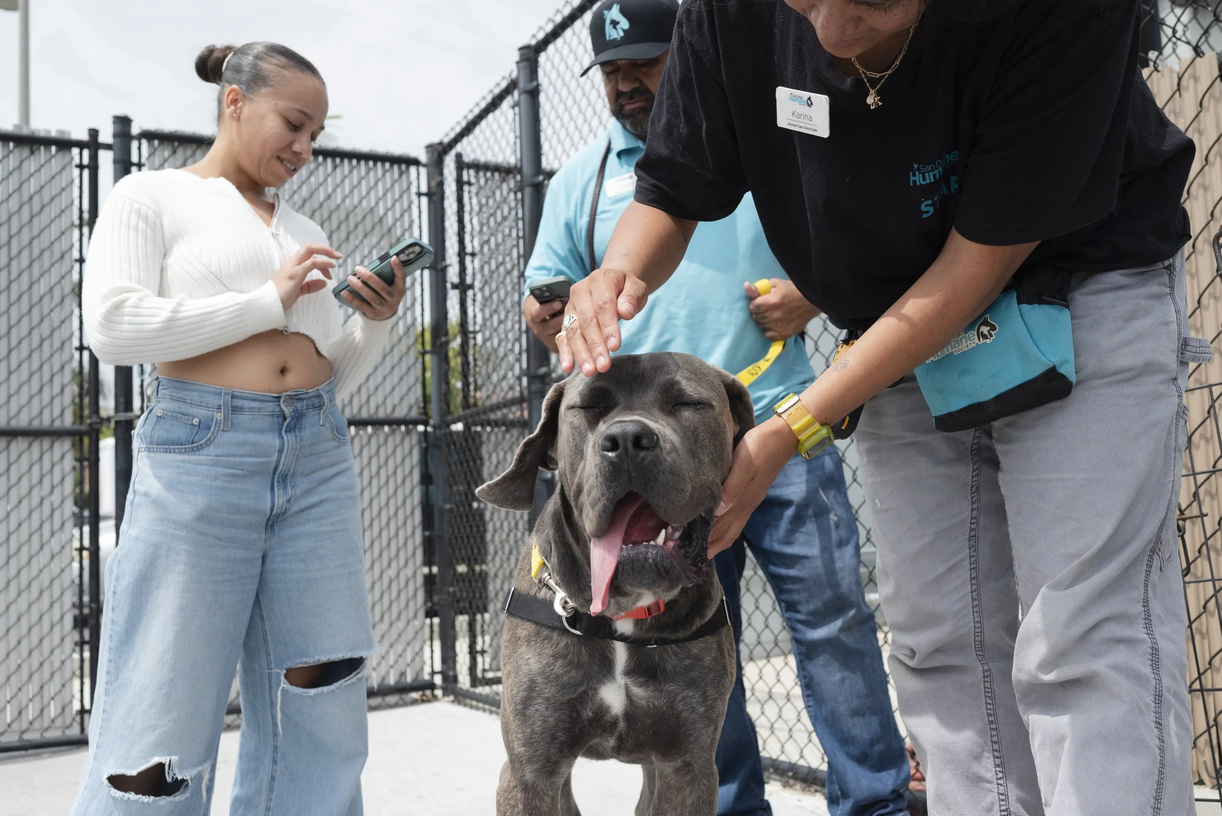 Ashley Martin, far left, receives training information from Animal Training Associate Freddy Zuniga, far right, while Animal Care Associate Karina Semrau, front right, says goodbye to Luna the dog at the San Diego Humane Society's San Diego campus on