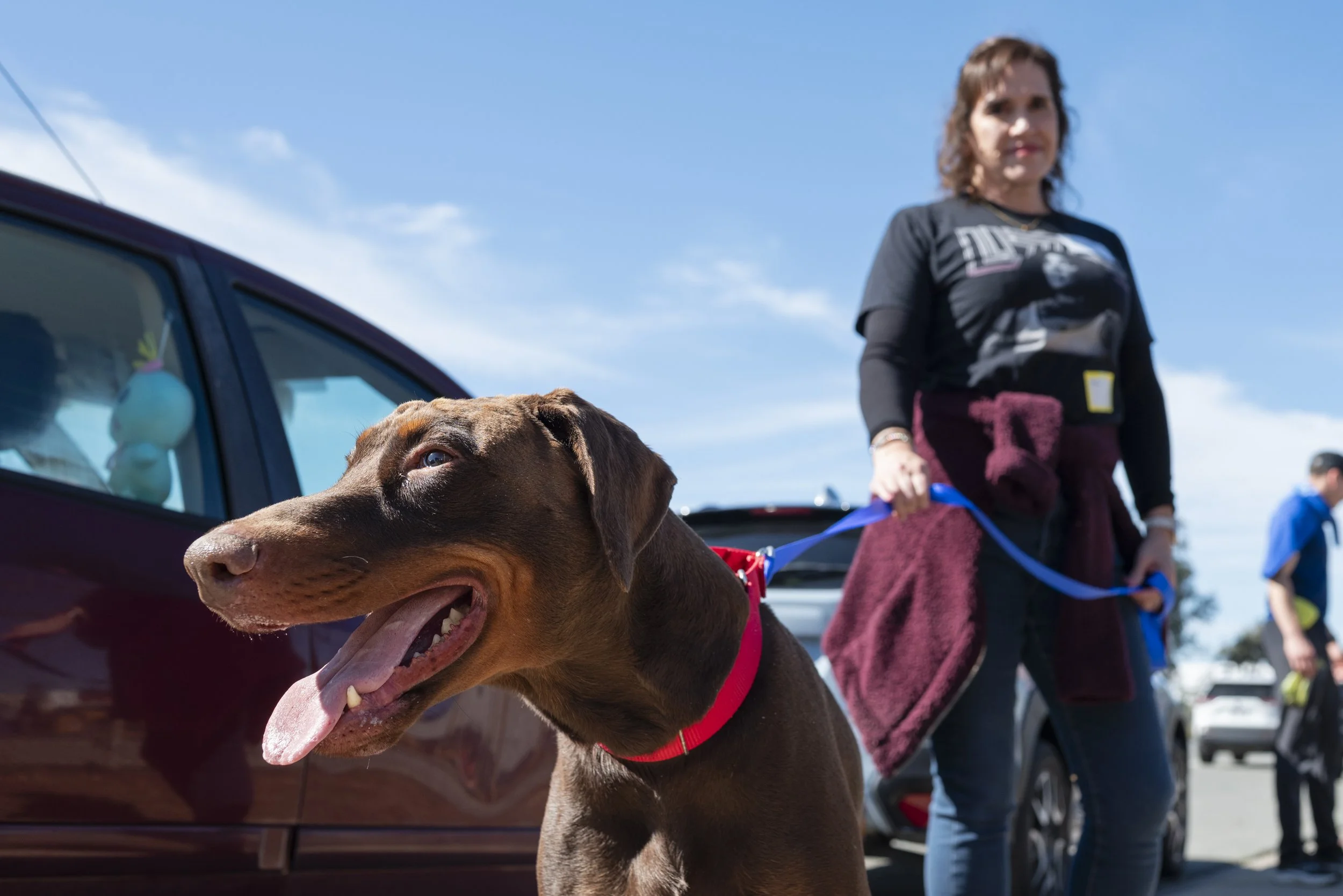 Rosalia Castruita returns from a walk with Toby, a Doberman Pinscher from the Chula Vista Animal Care Facility, on Feb. 21, 2026. (McKenzie Patterson / For The San Diego Union-Tribune)